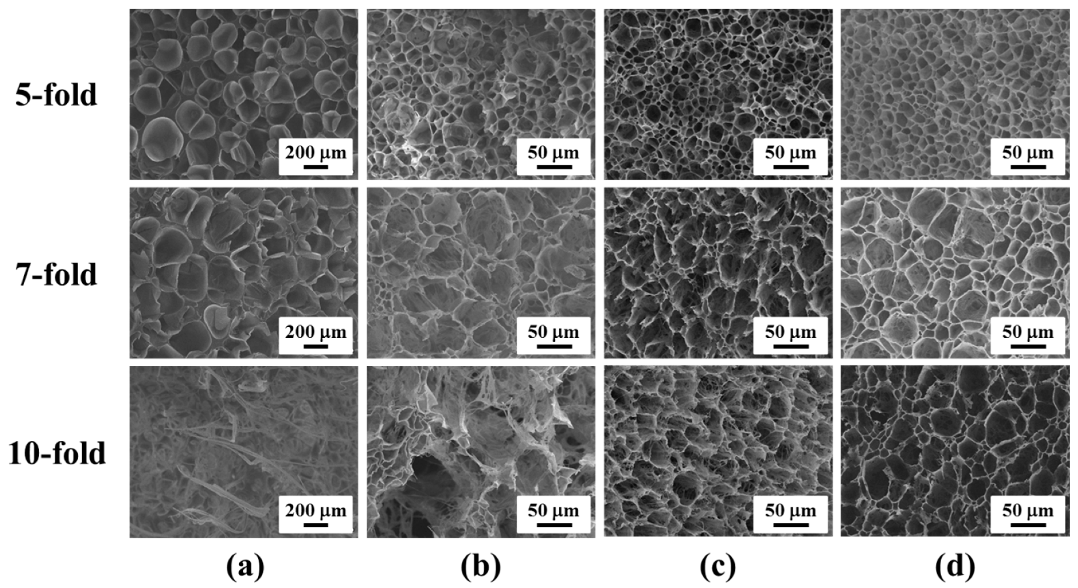 Polymers 11 00249 g003