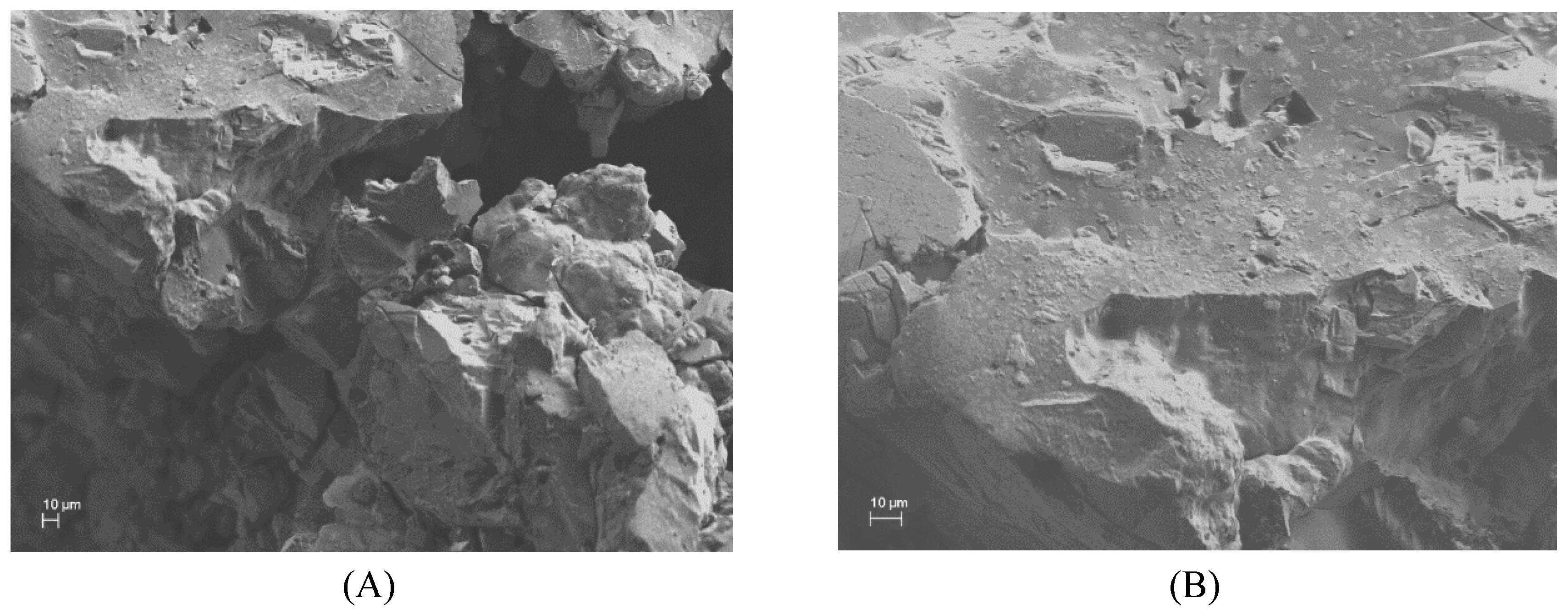 Polymers 11 00252 g005
