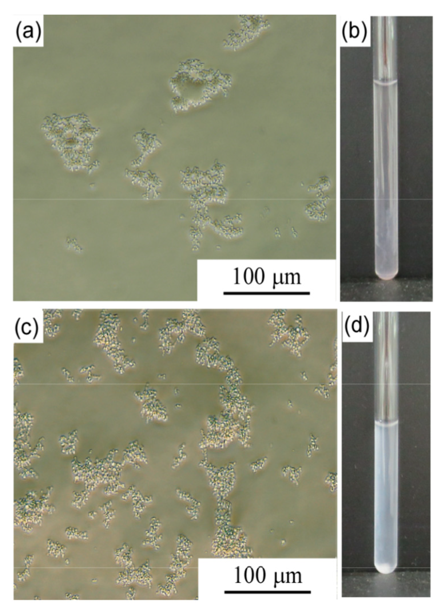 Polymers 11 00265 g005 550