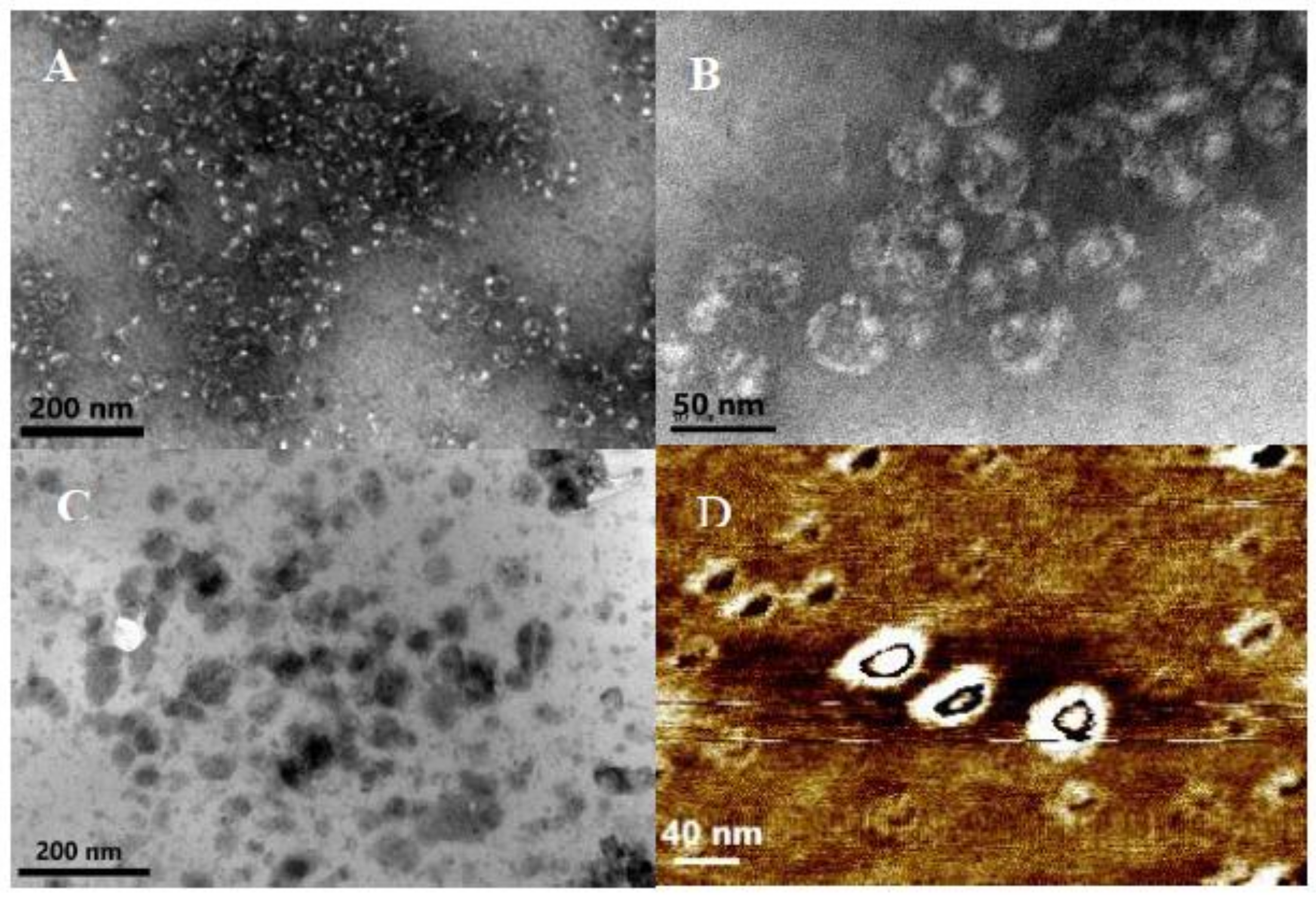 Polymers 11 00266 g001
