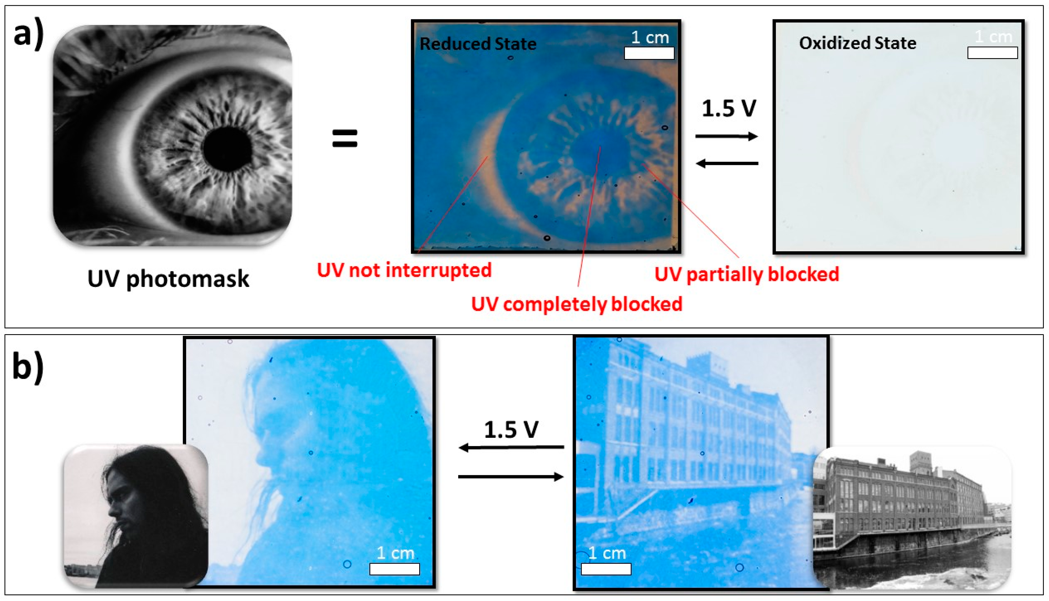 Polymers 11 00267 g002 550