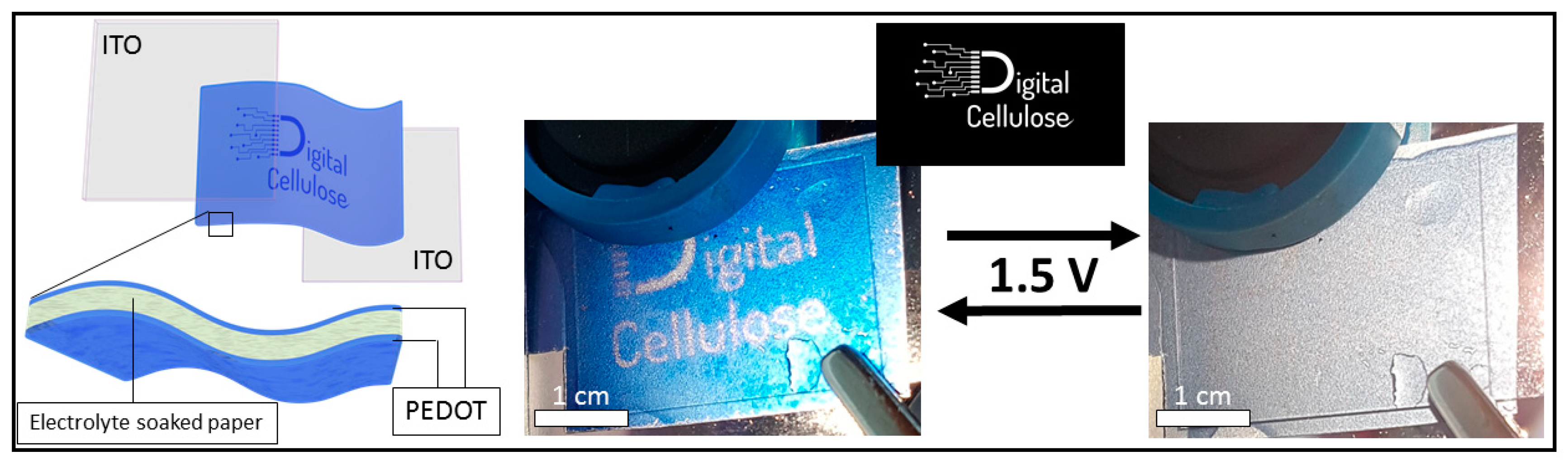 Polymers 11 00267 g004 550