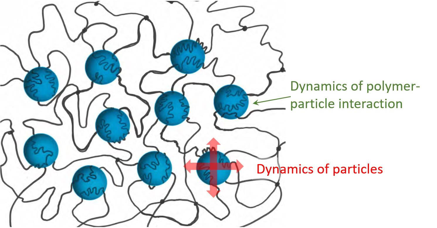 Polymers Free FullText NanoparticleHydrogel Composites From
