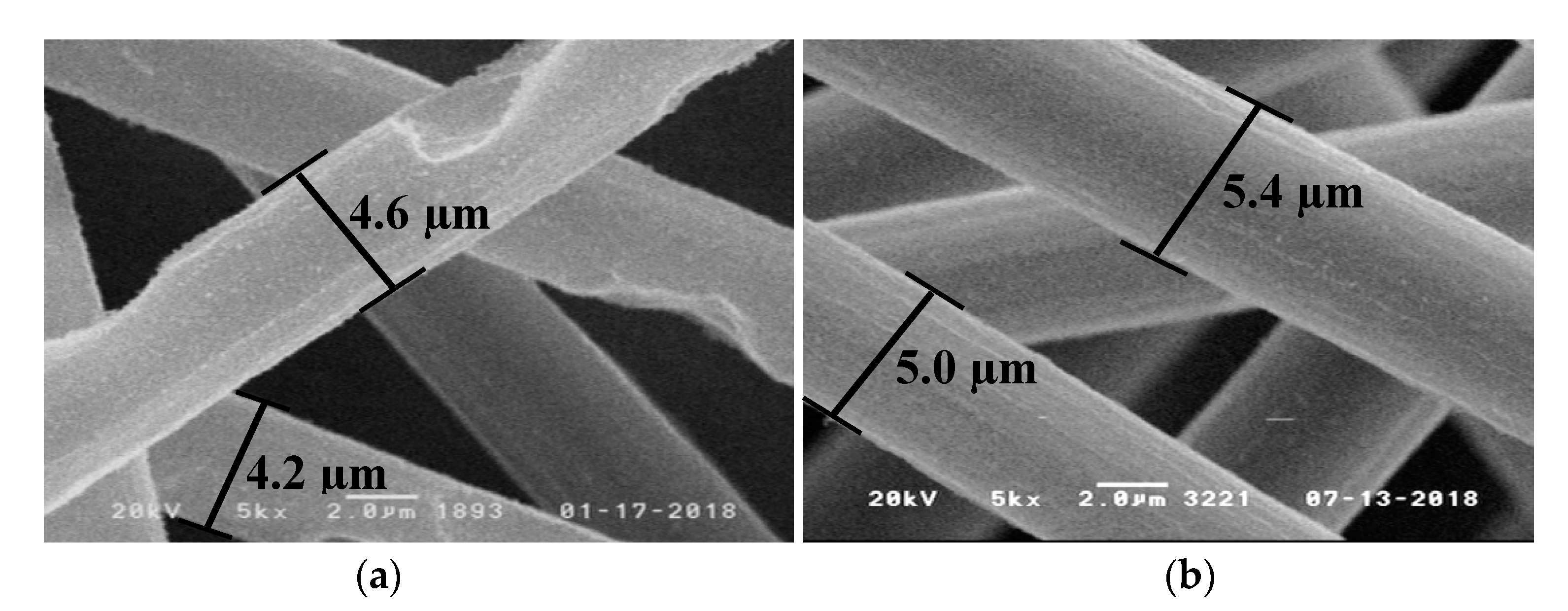 Polymers 11 00284 g010