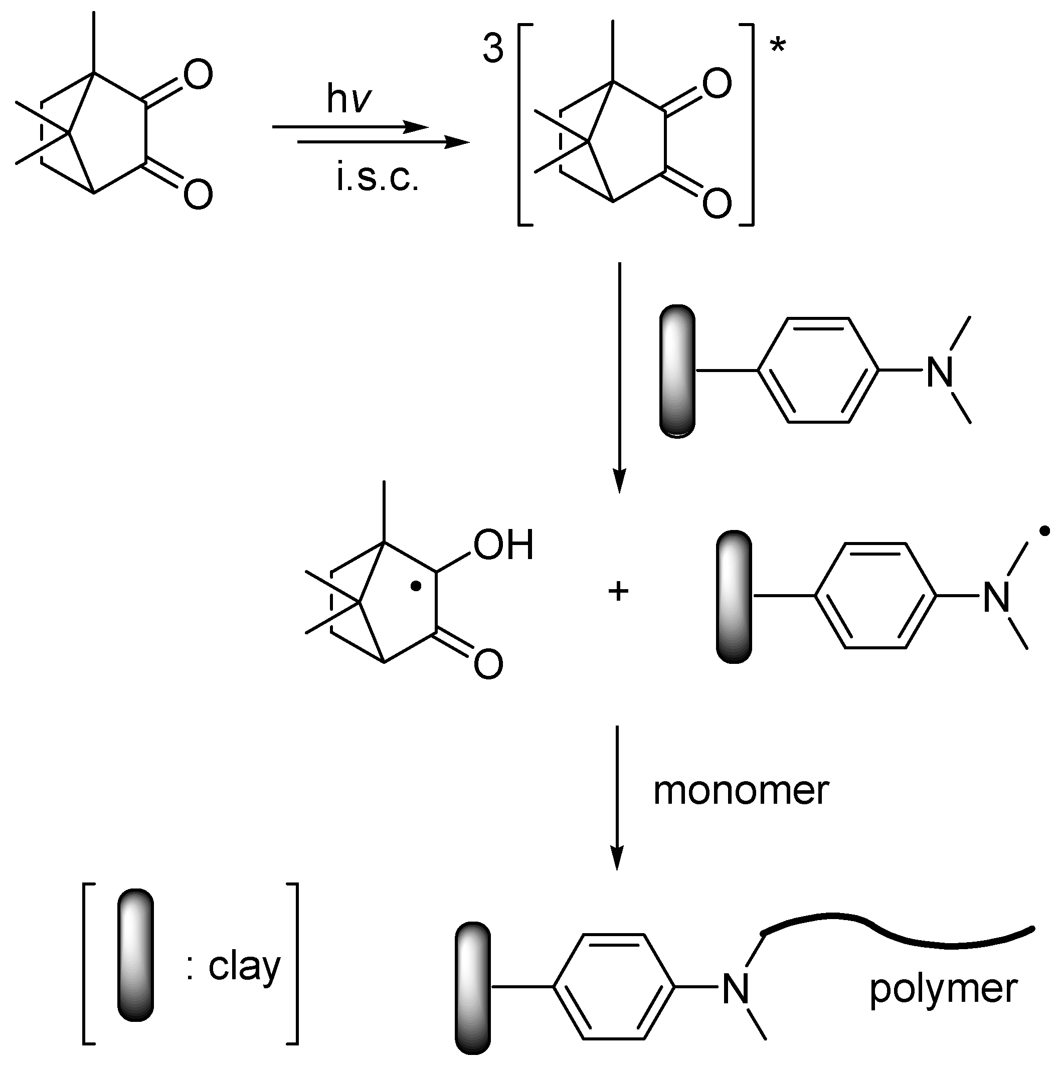 Polymers 11 00286 sch002