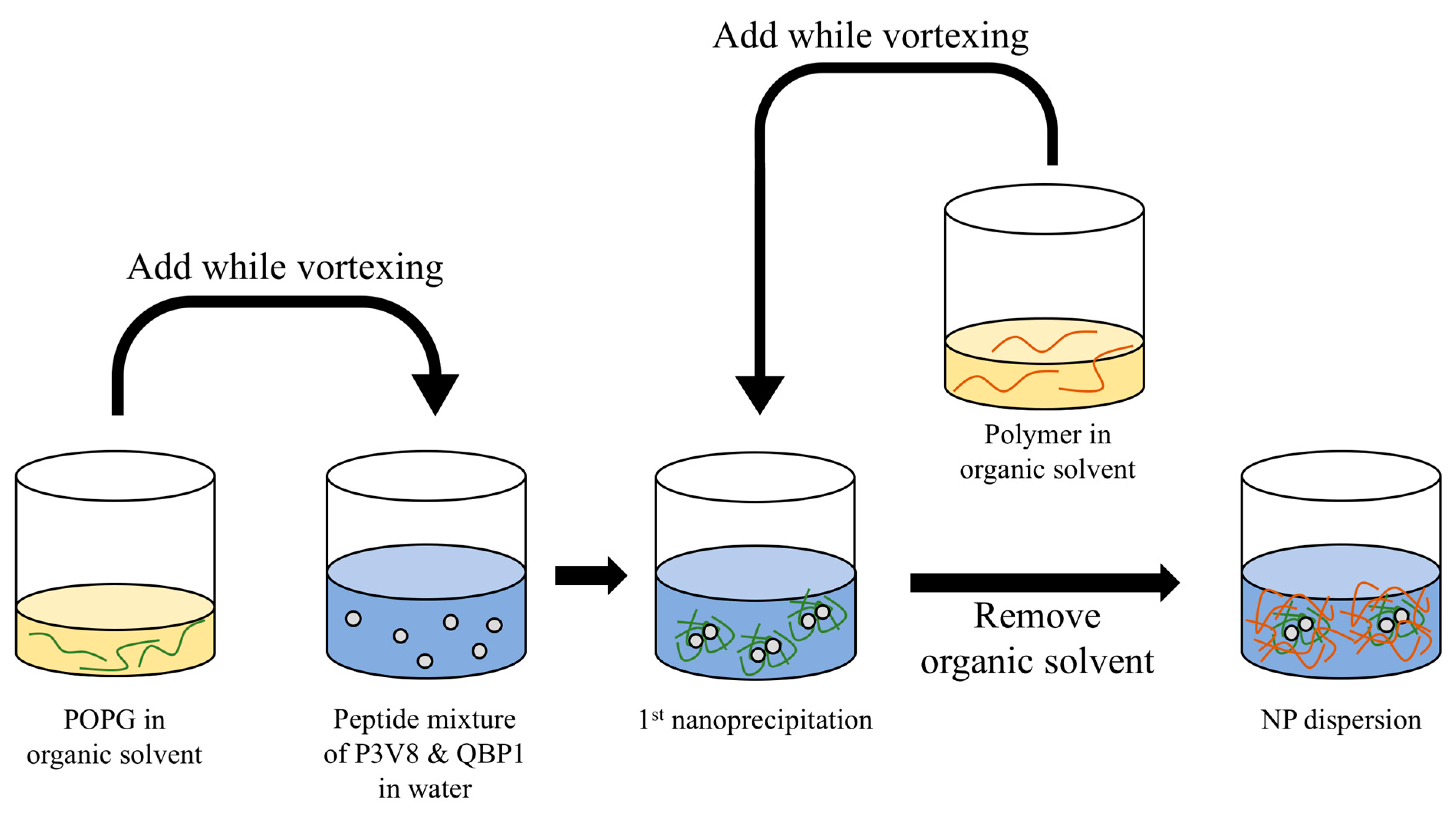 Polymers 11 00288 g002