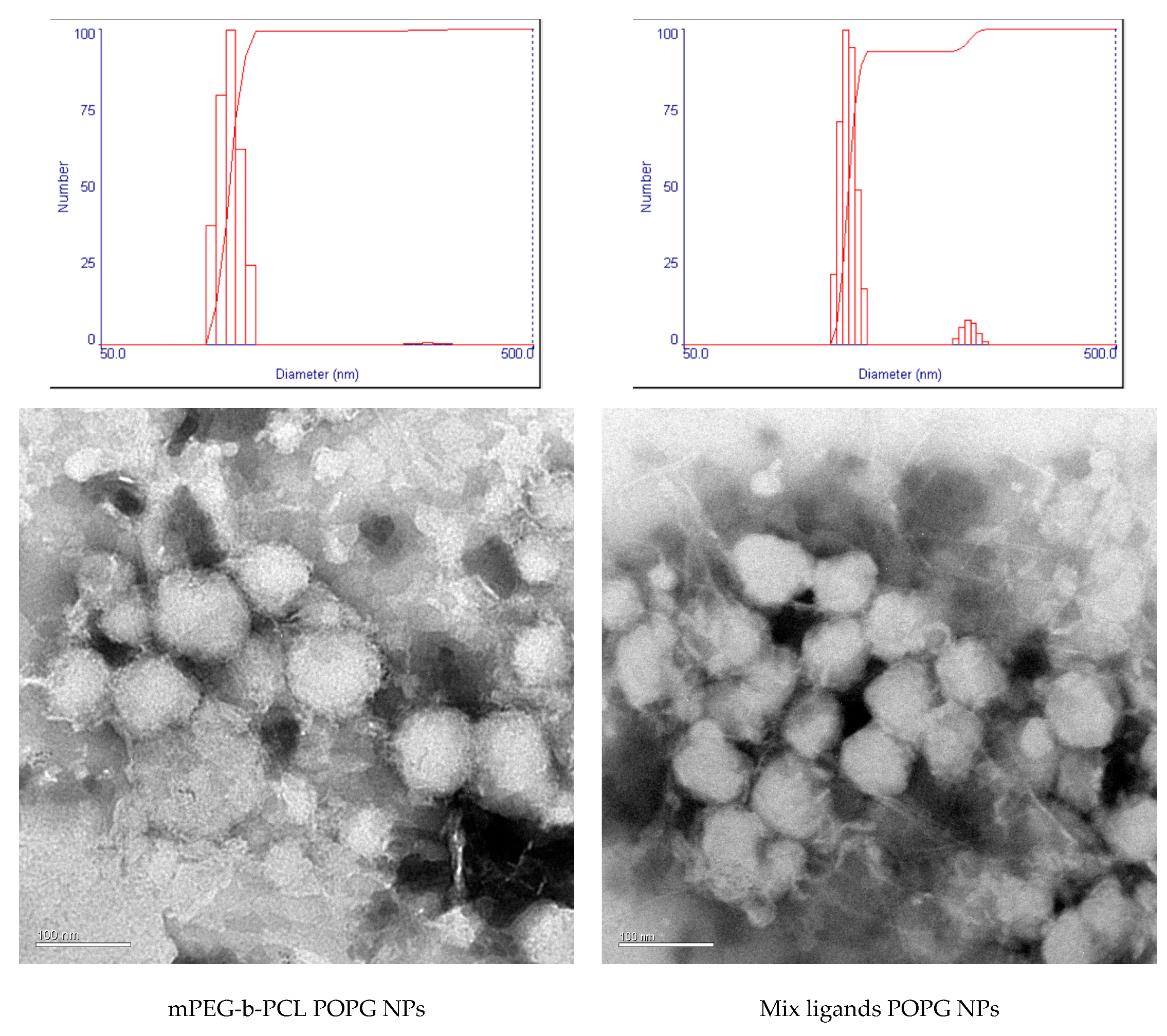 Polymers 11 00288 g005
