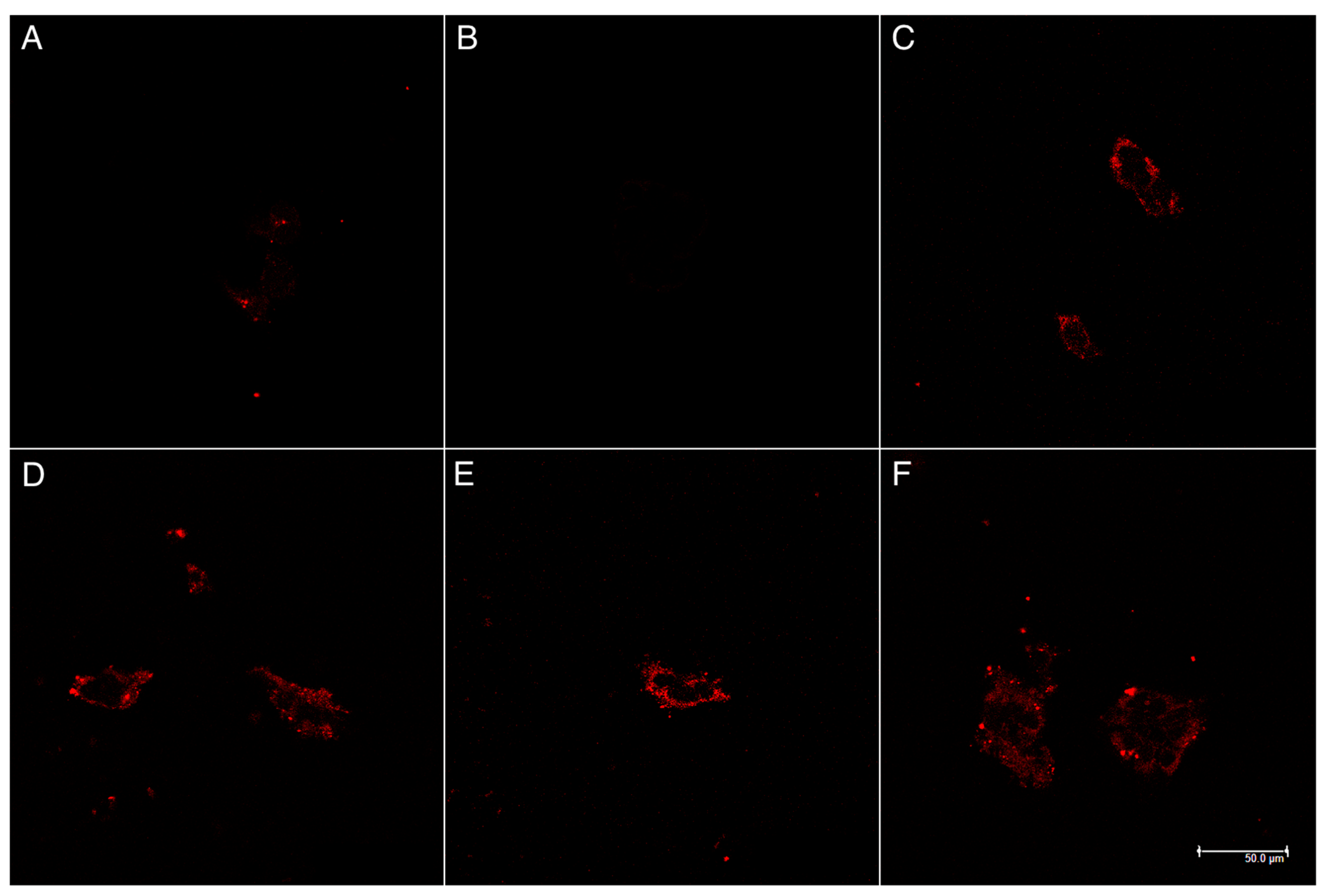 Polymers 11 00288 g008