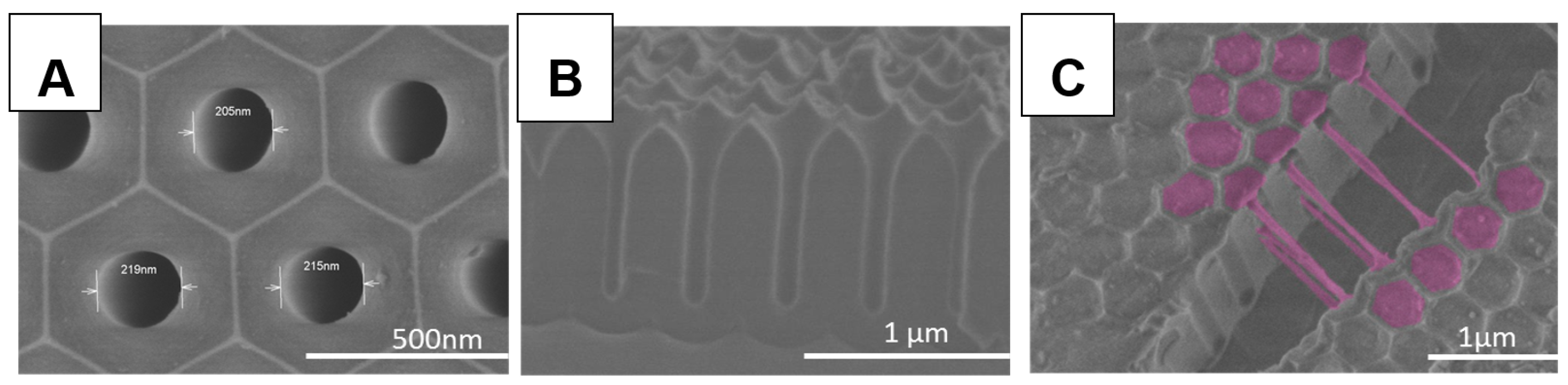 Polymers 11 00290 g001 550