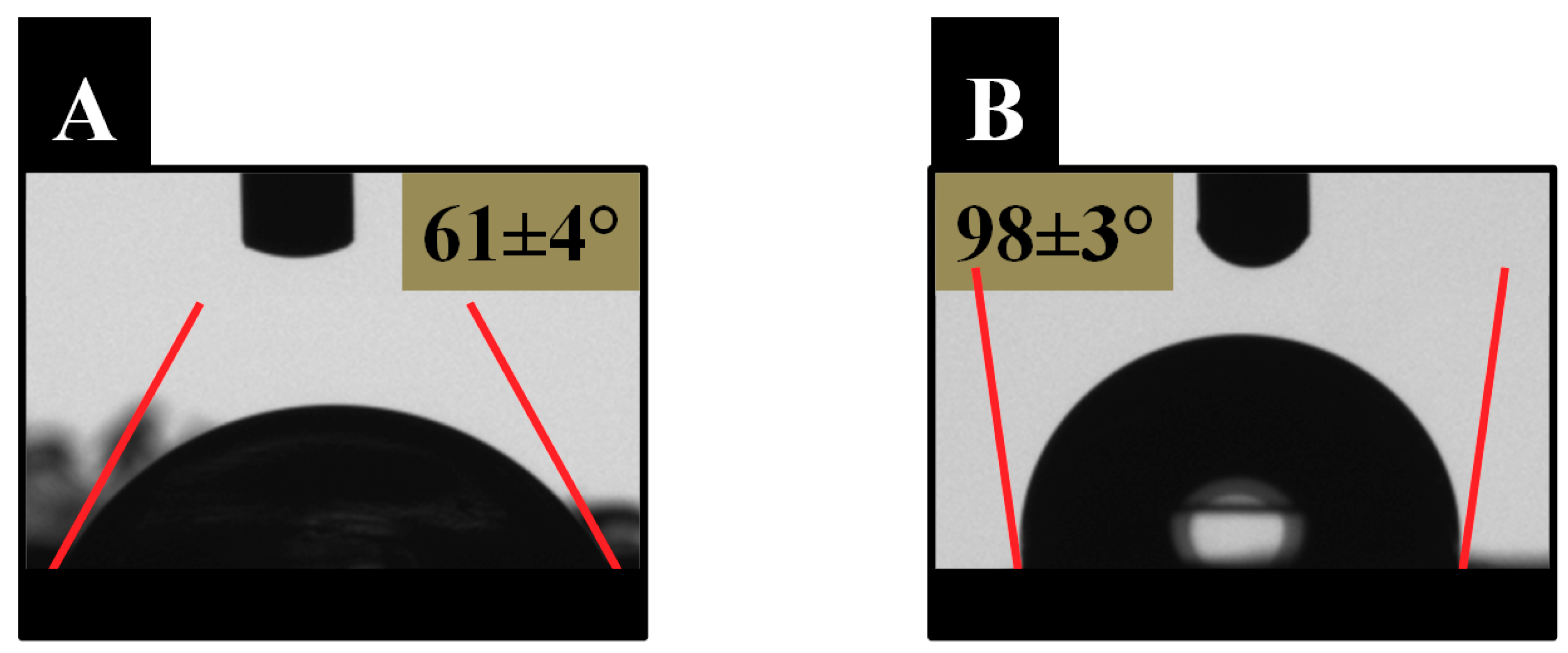 Polymers 11 00290 g004 550