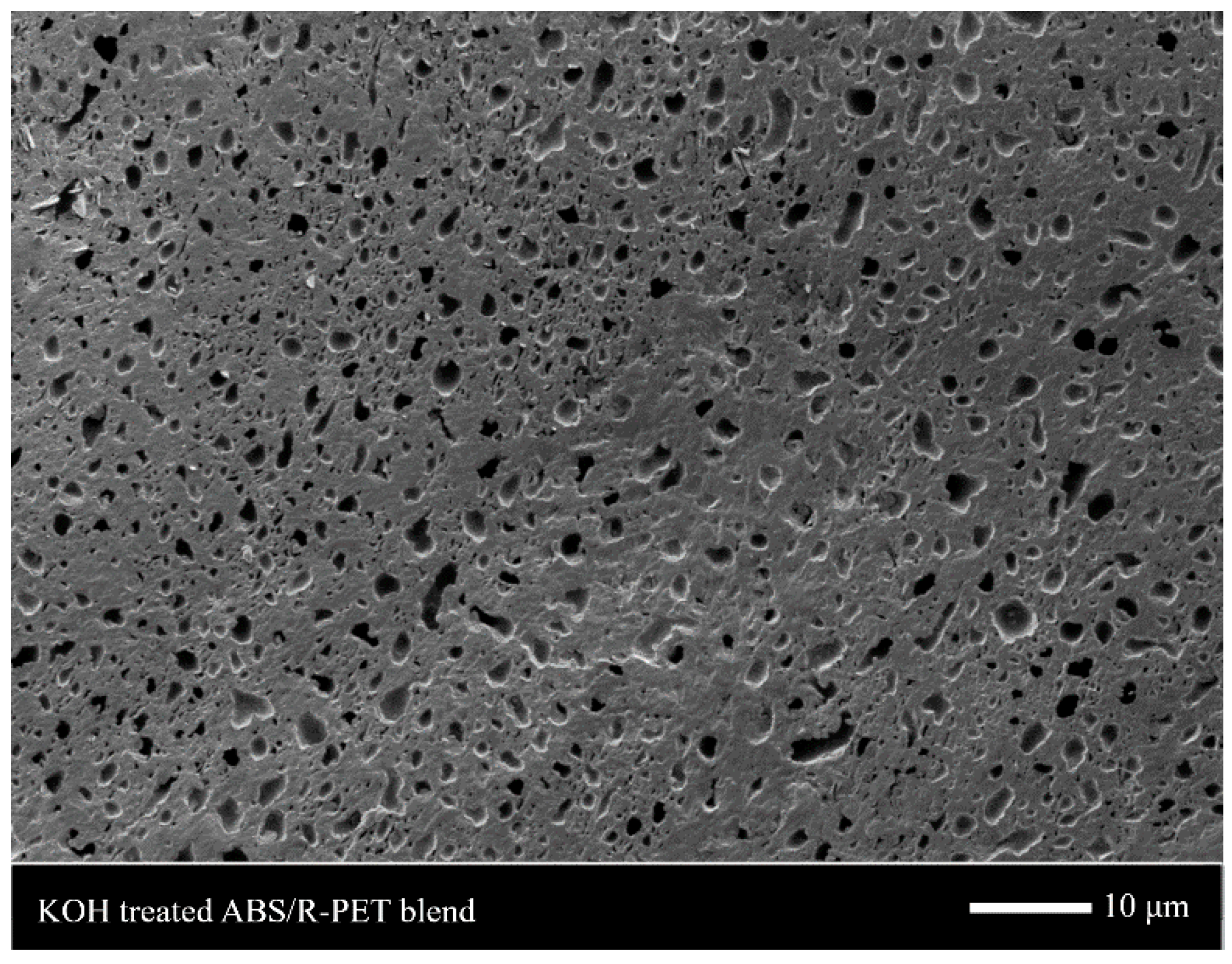 Polymers 11 00291 g001 550