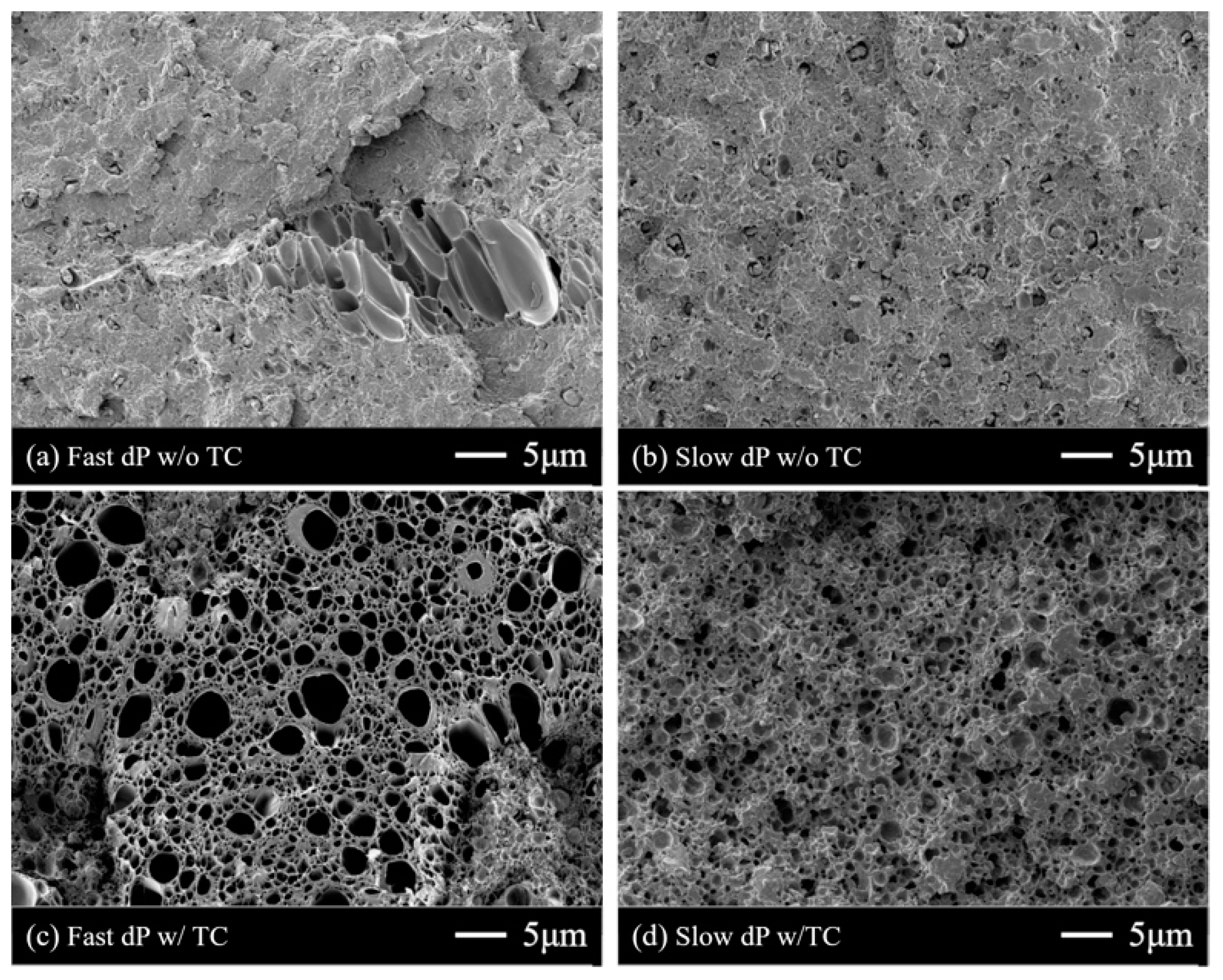 Polymers 11 00291 g005 550