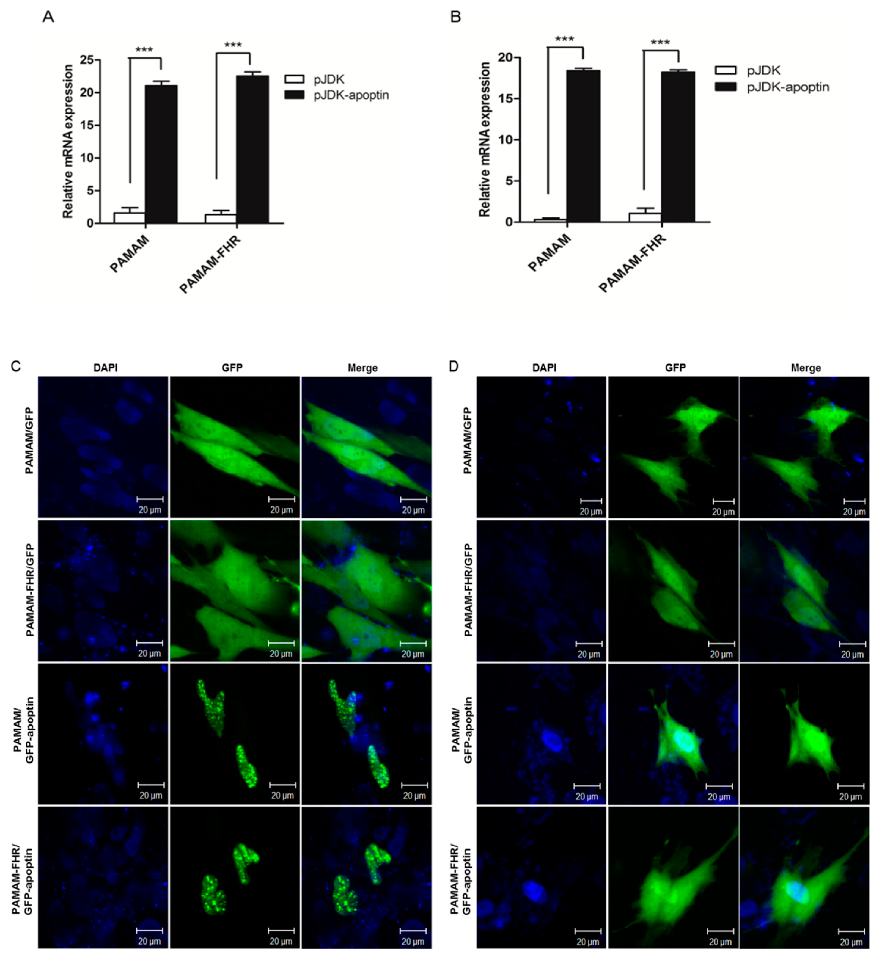 Polymers 11 00296 g005 550