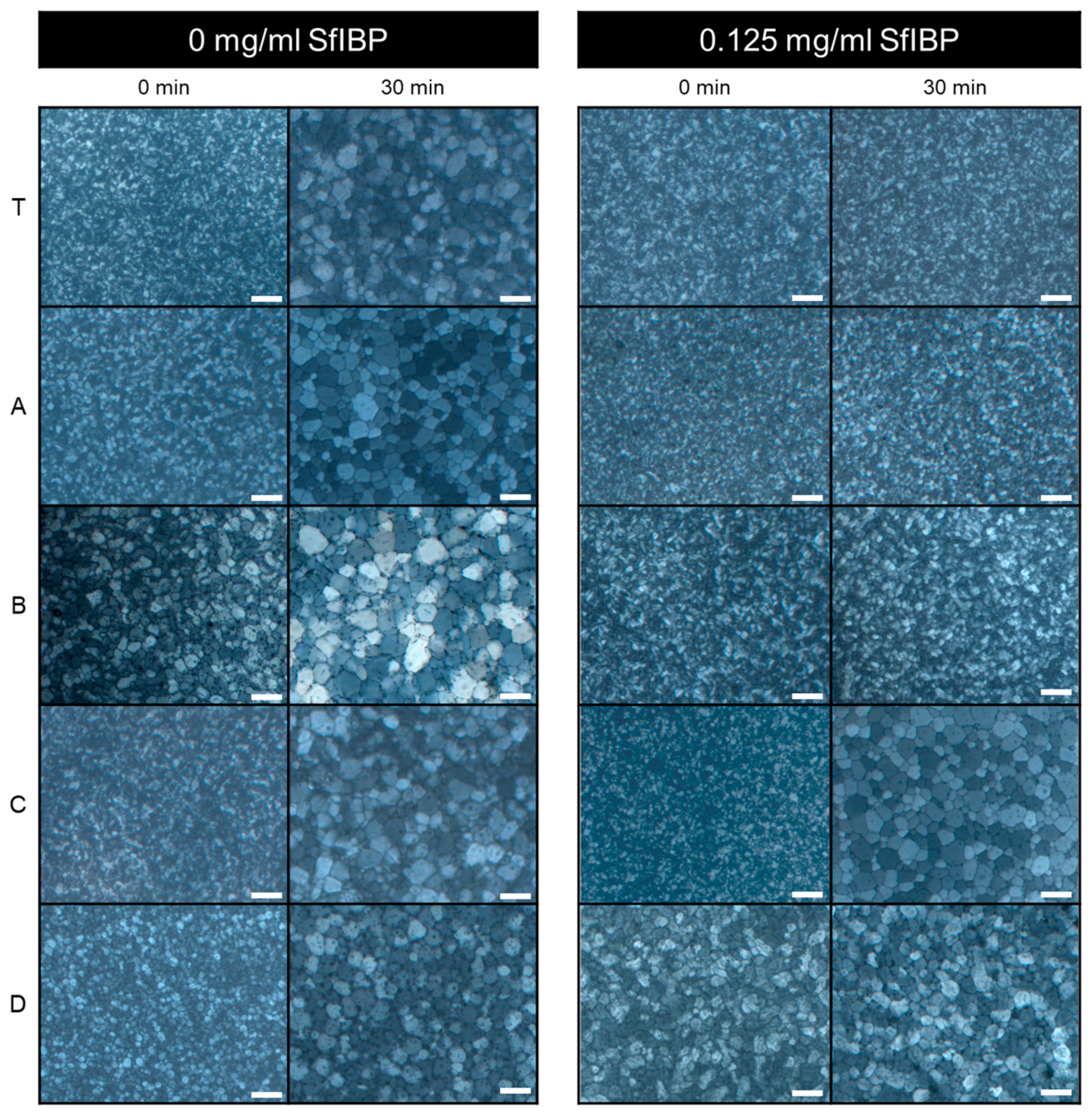 Polymers 11 00299 g003 Polymers 11 00299 g003