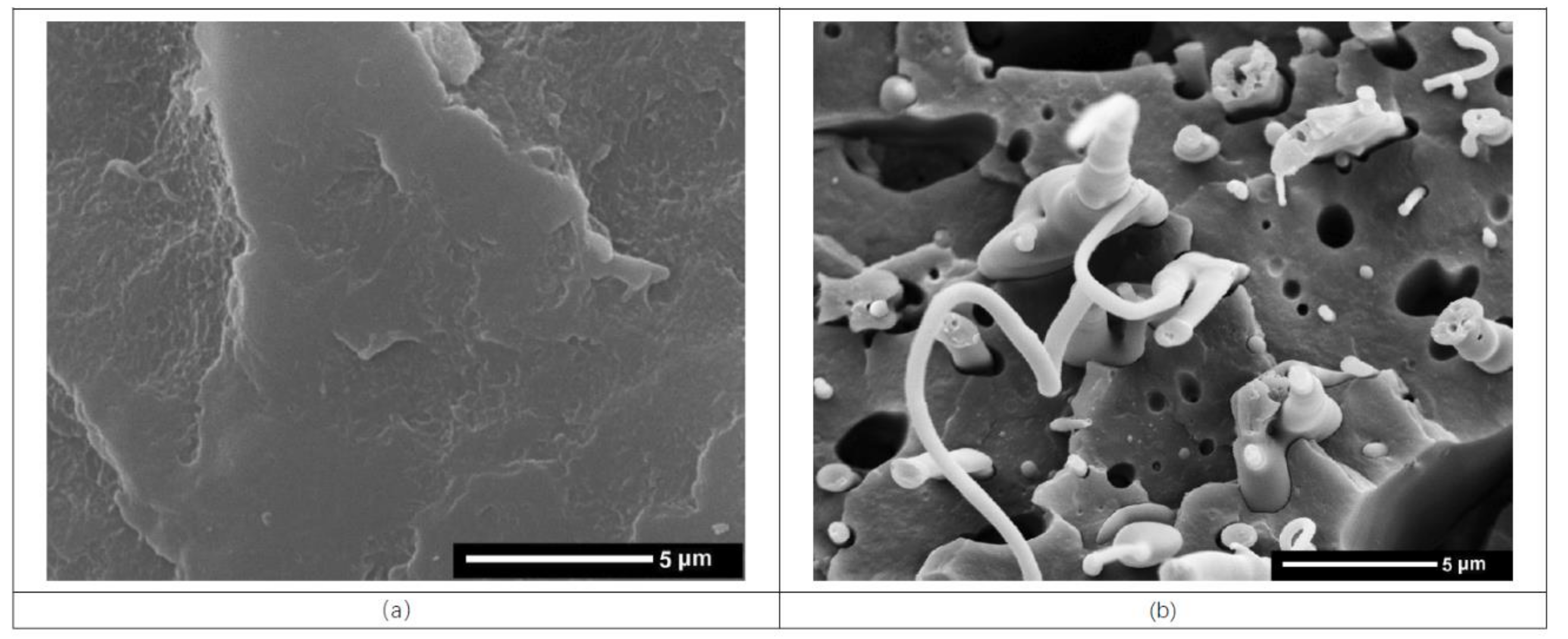 Polymers 11 00300 g007a 550