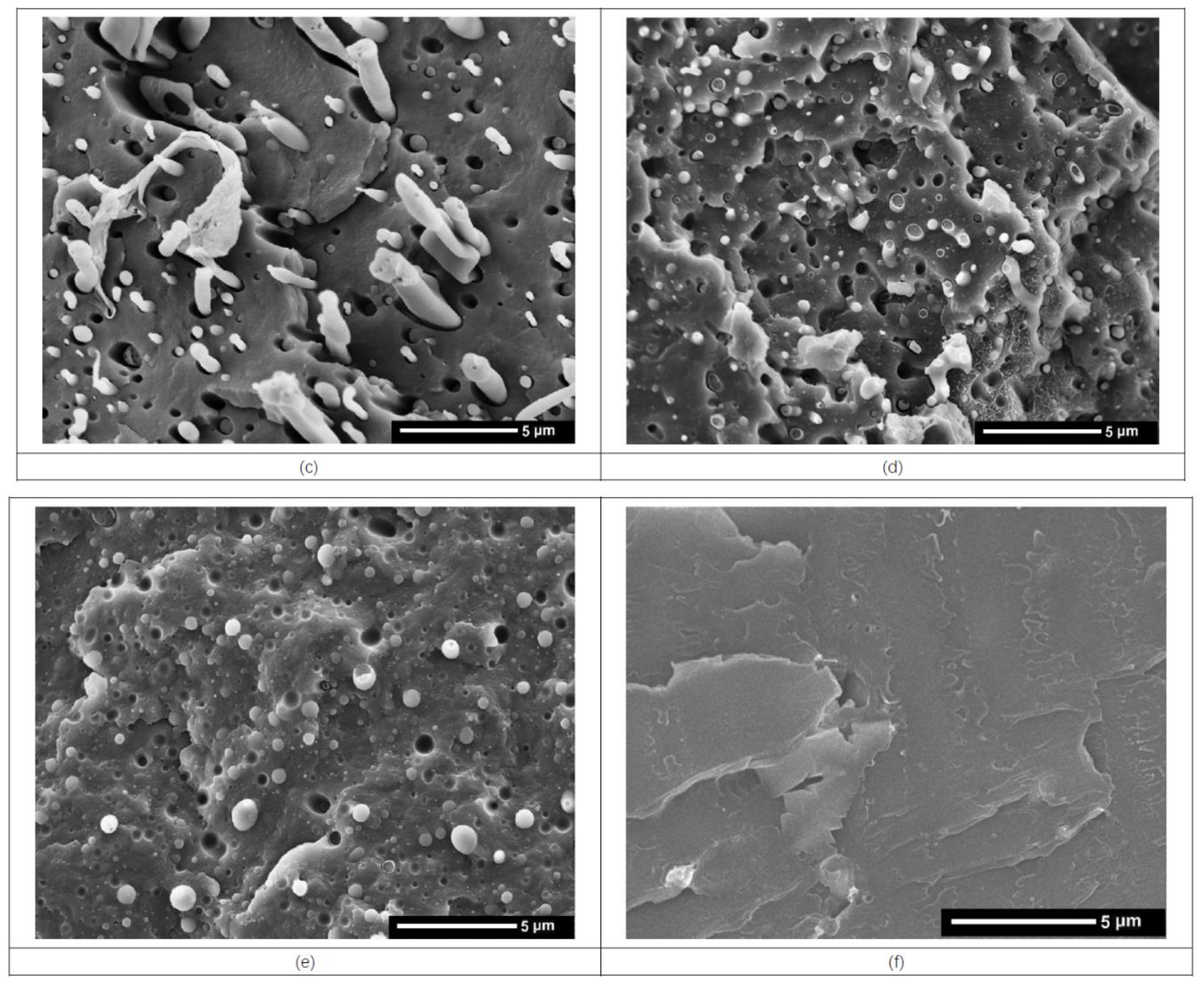 Polymers 11 00300 g007b 550