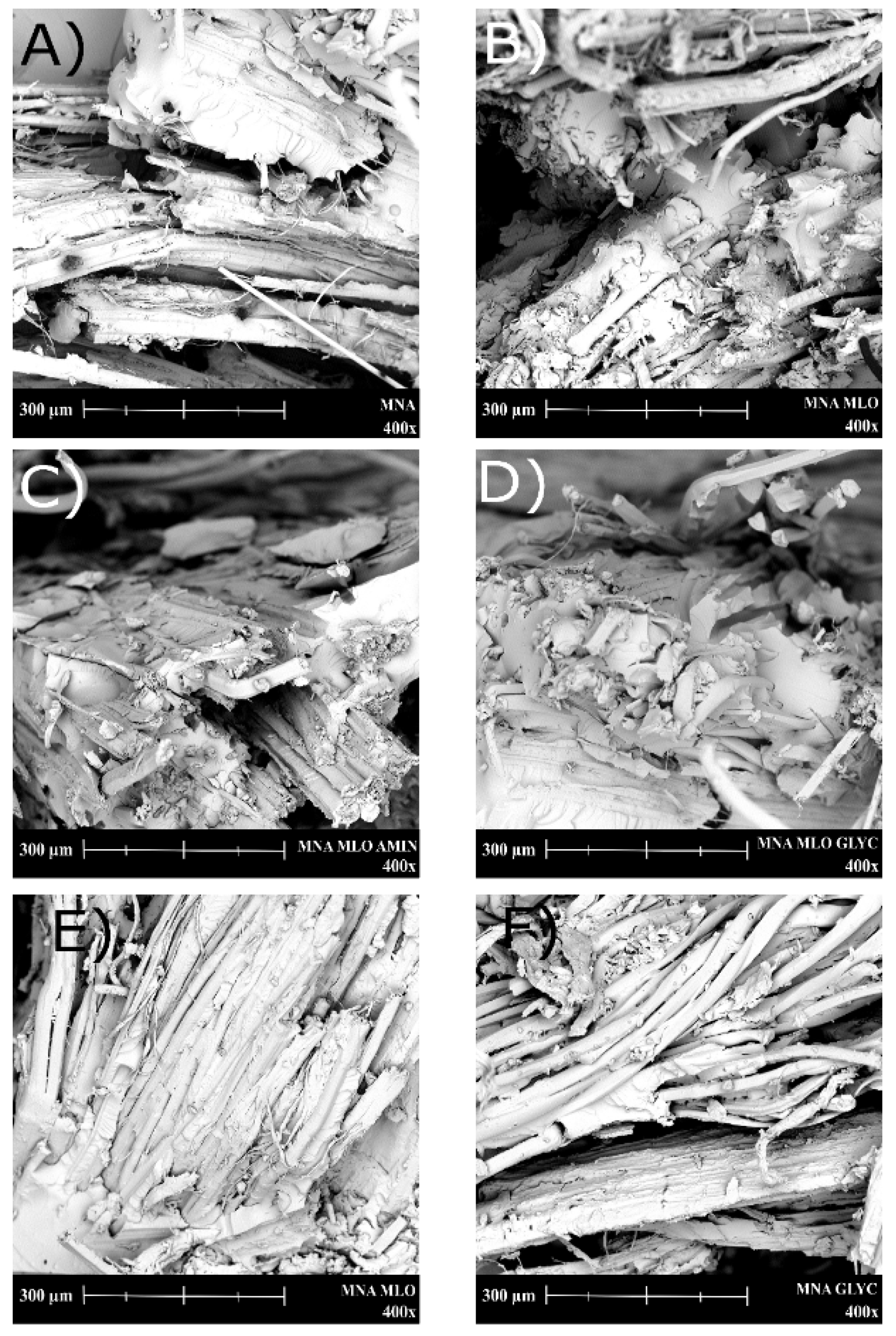 Polymers 11 00301 g008