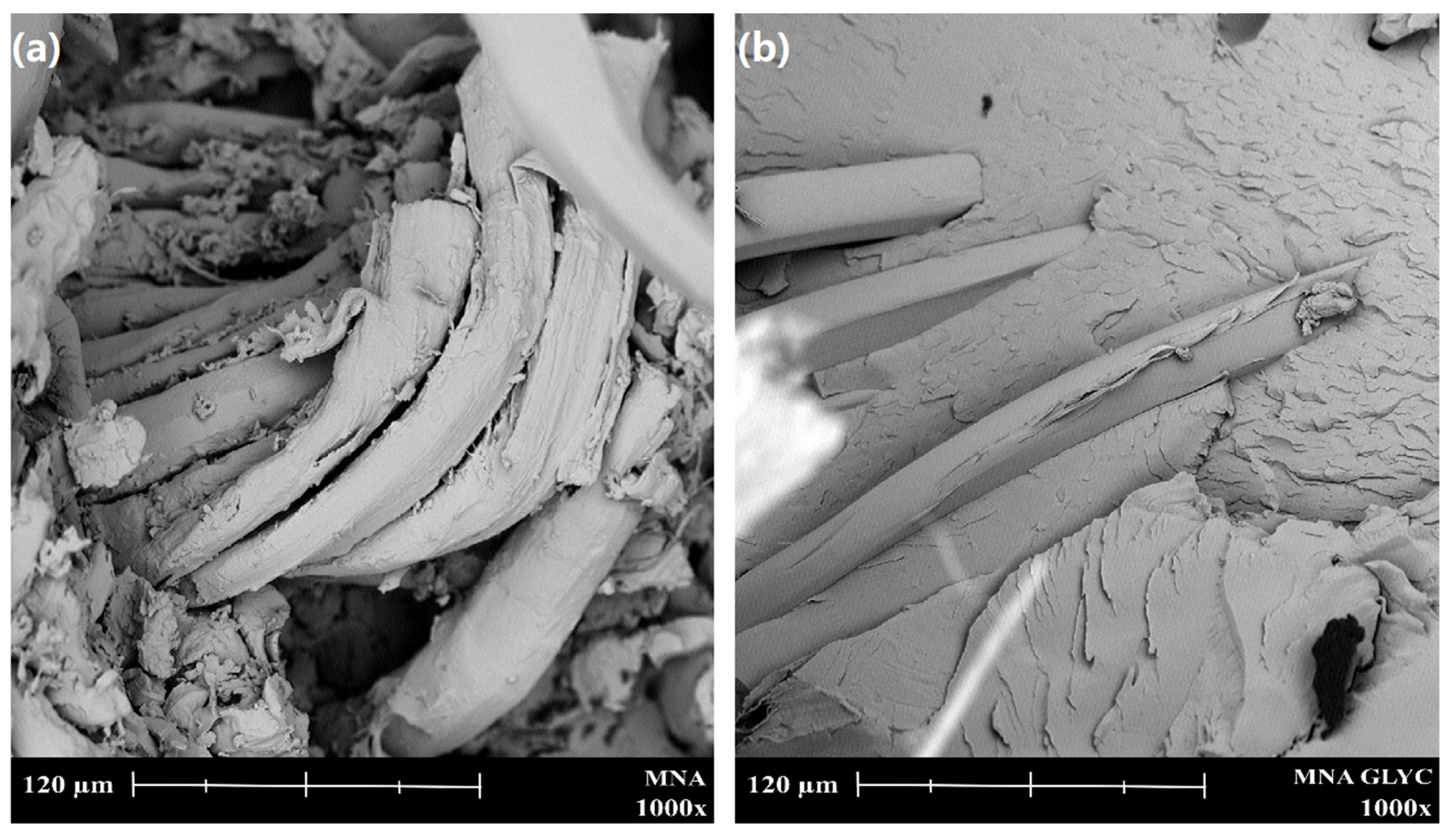 Polymers 11 00301 g009