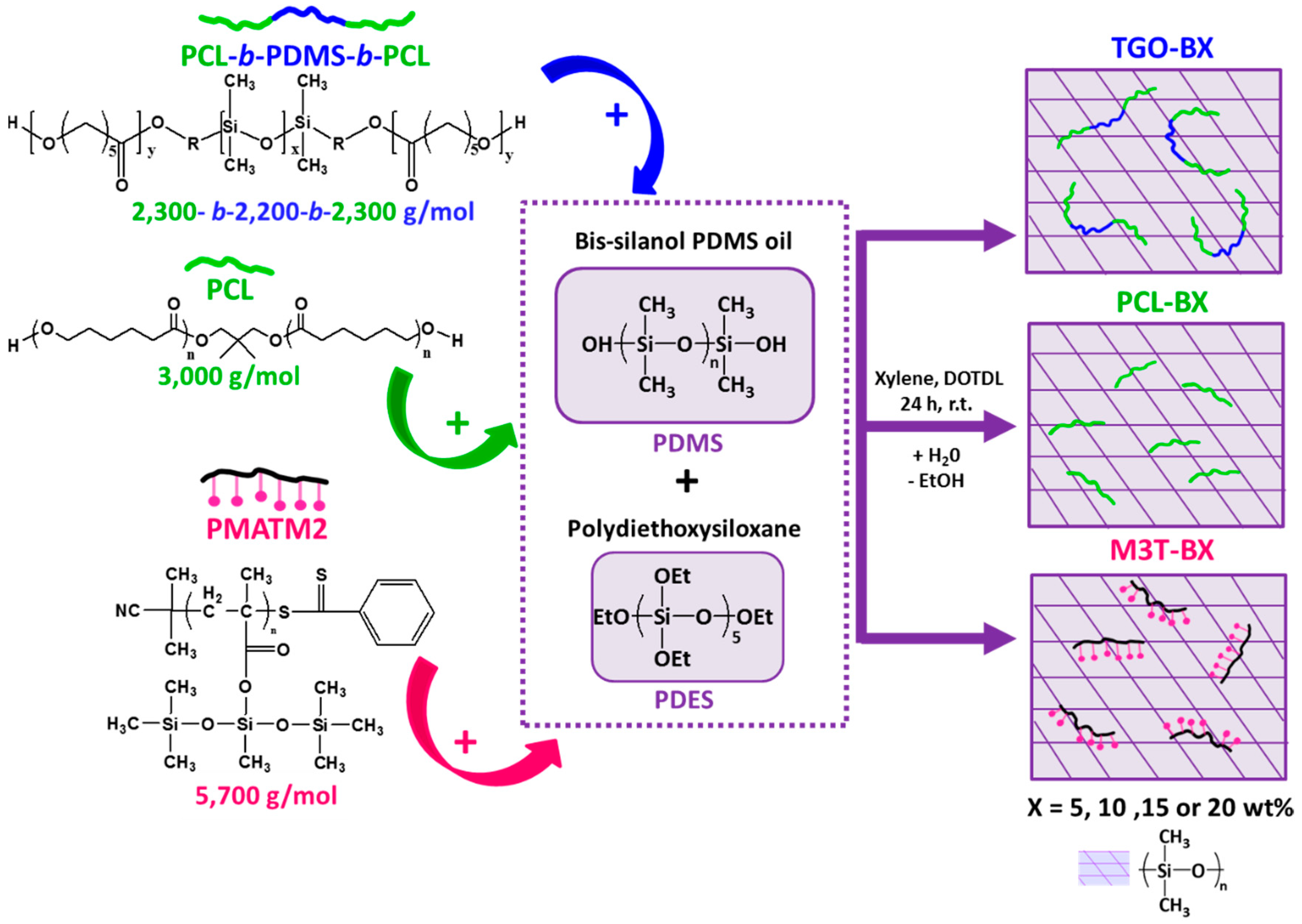 Polymers 11 00305 g001