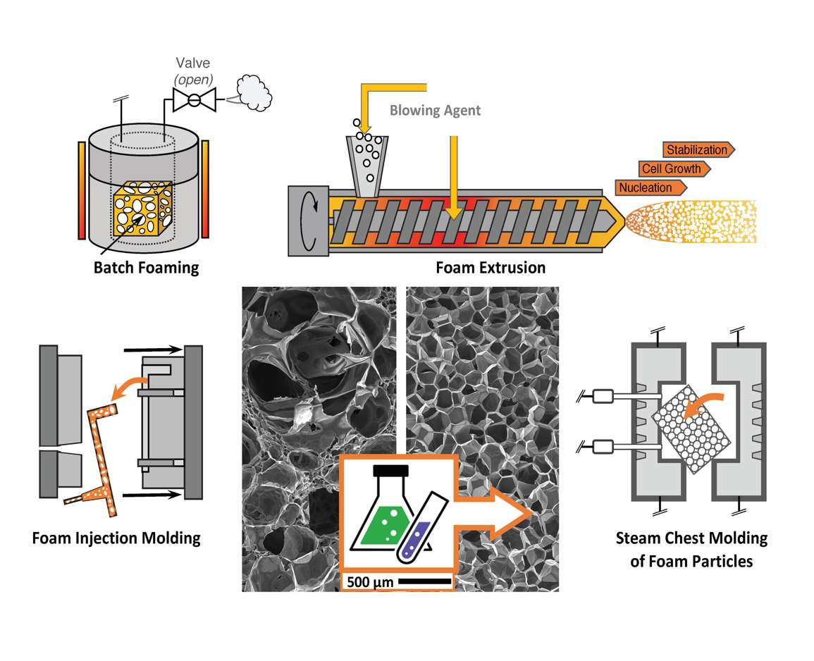 Polymers Free FullText Chemical Modification and Foam Processing