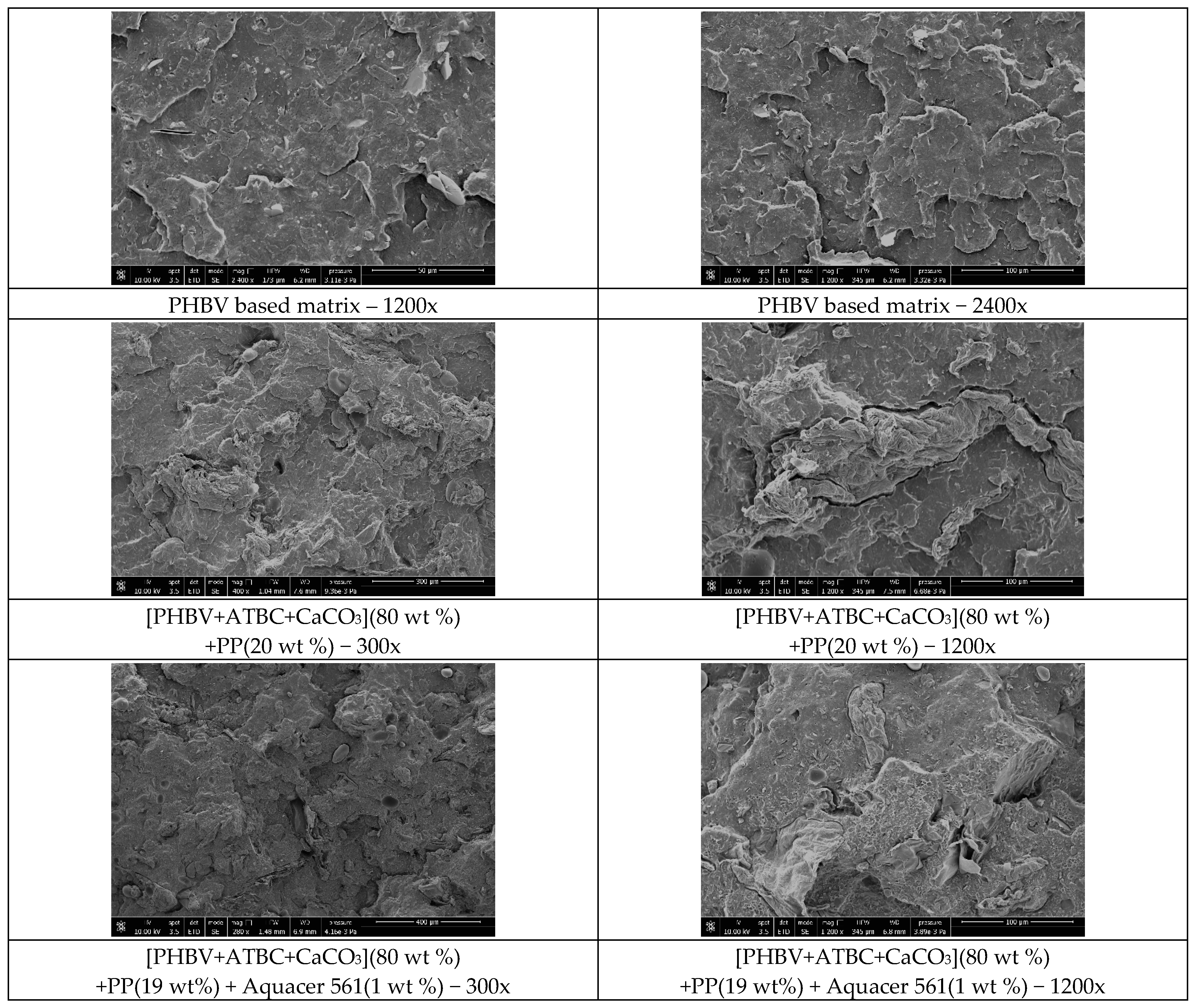 Polymers 11 00308 g007a