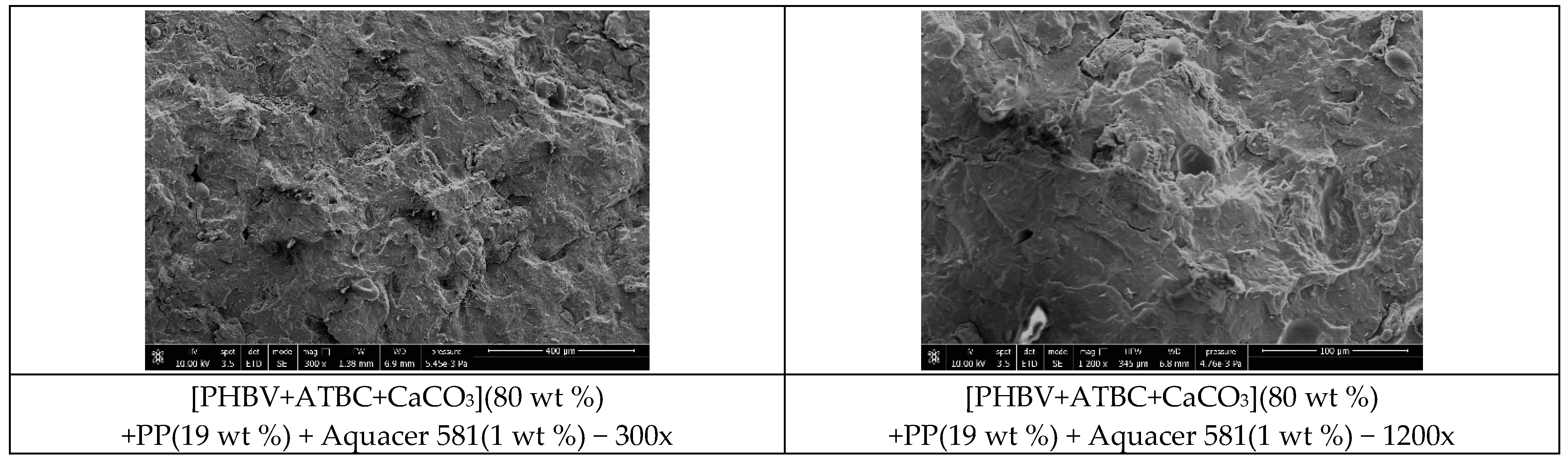 Polymers 11 00308 g007b