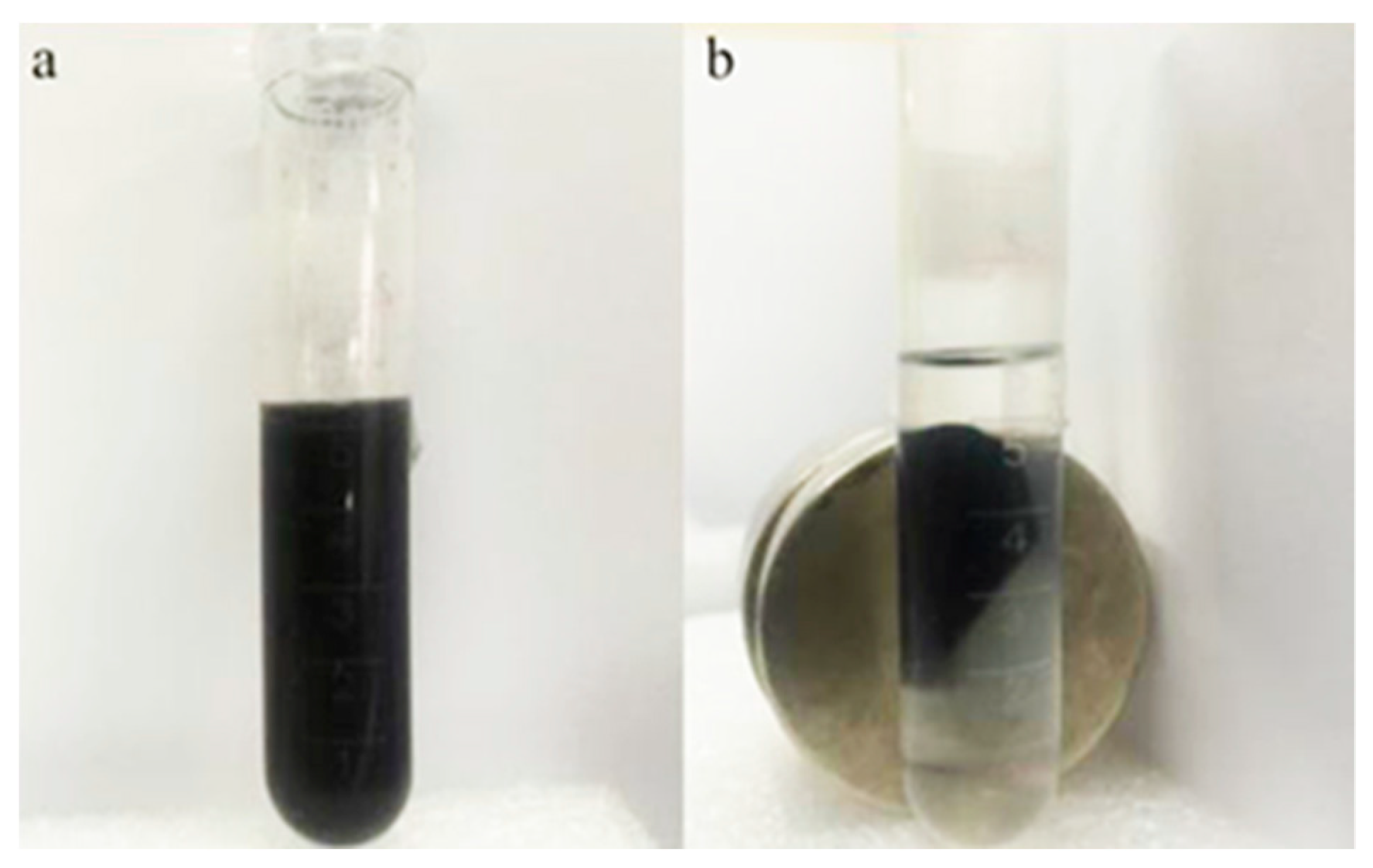 Polymers 11 00313 g001 Polymers 11 00313 g001