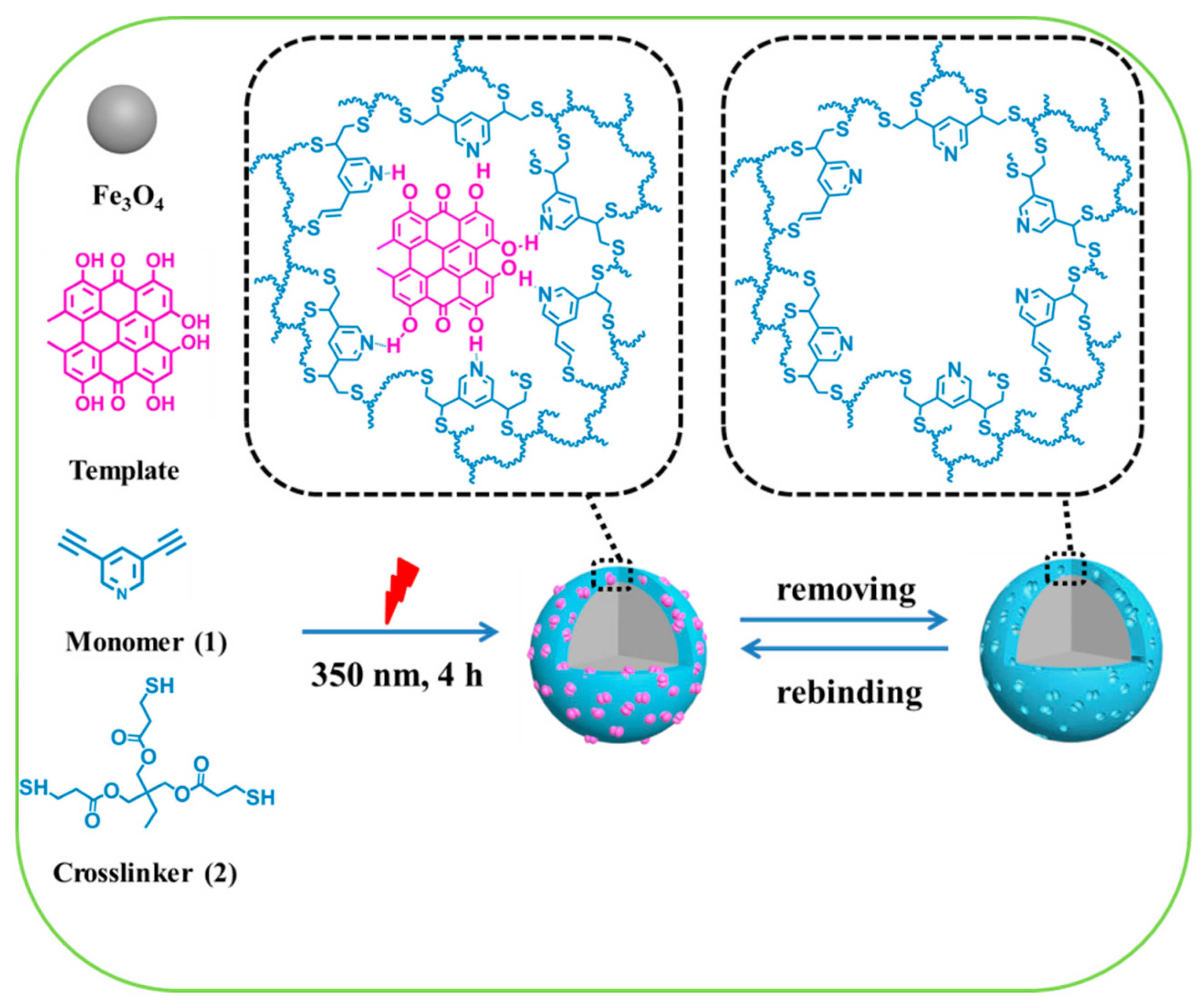 Polymers 11 00313 sch001 Polymers 11 00313 sch001