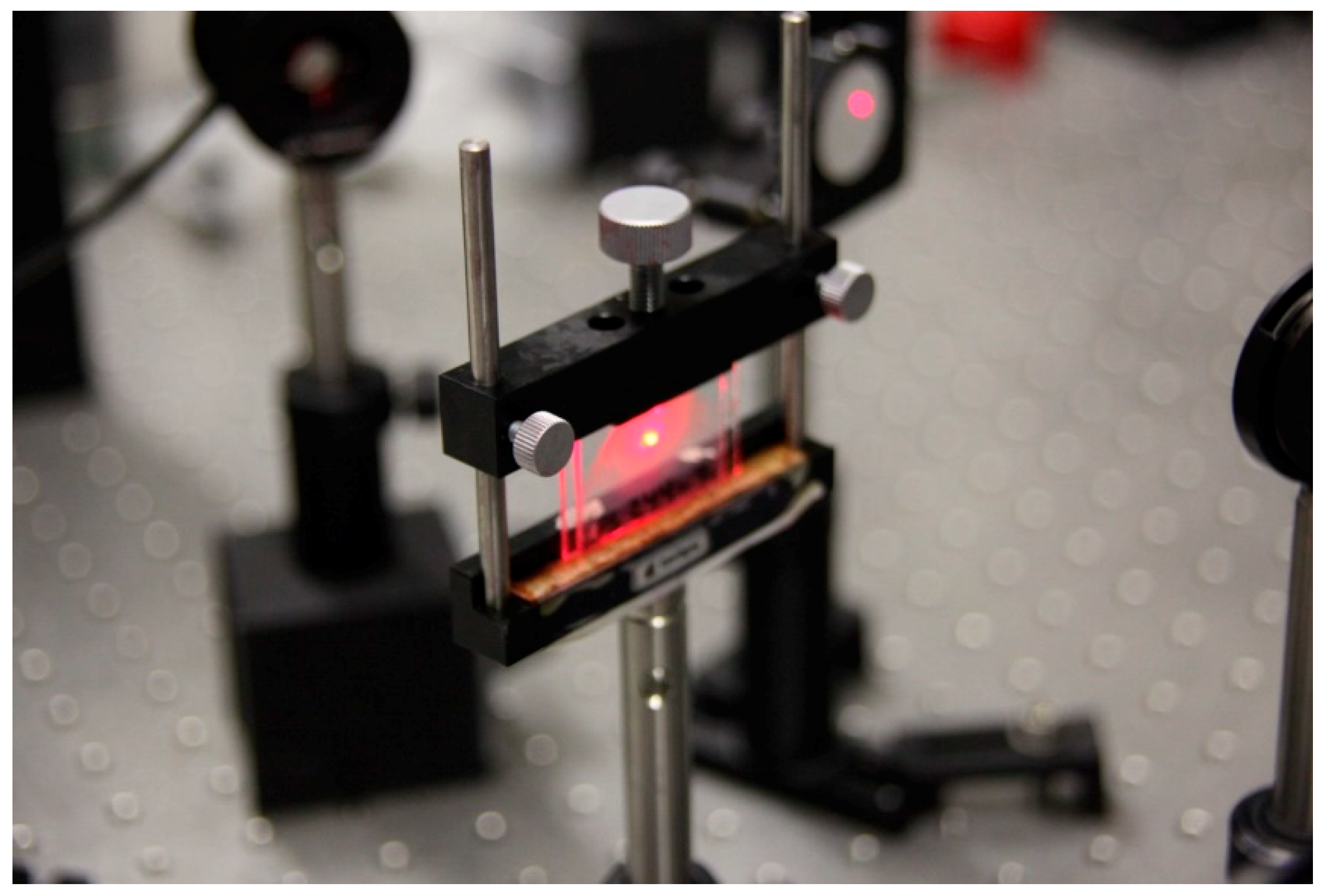 Polymers 11 00325 g002