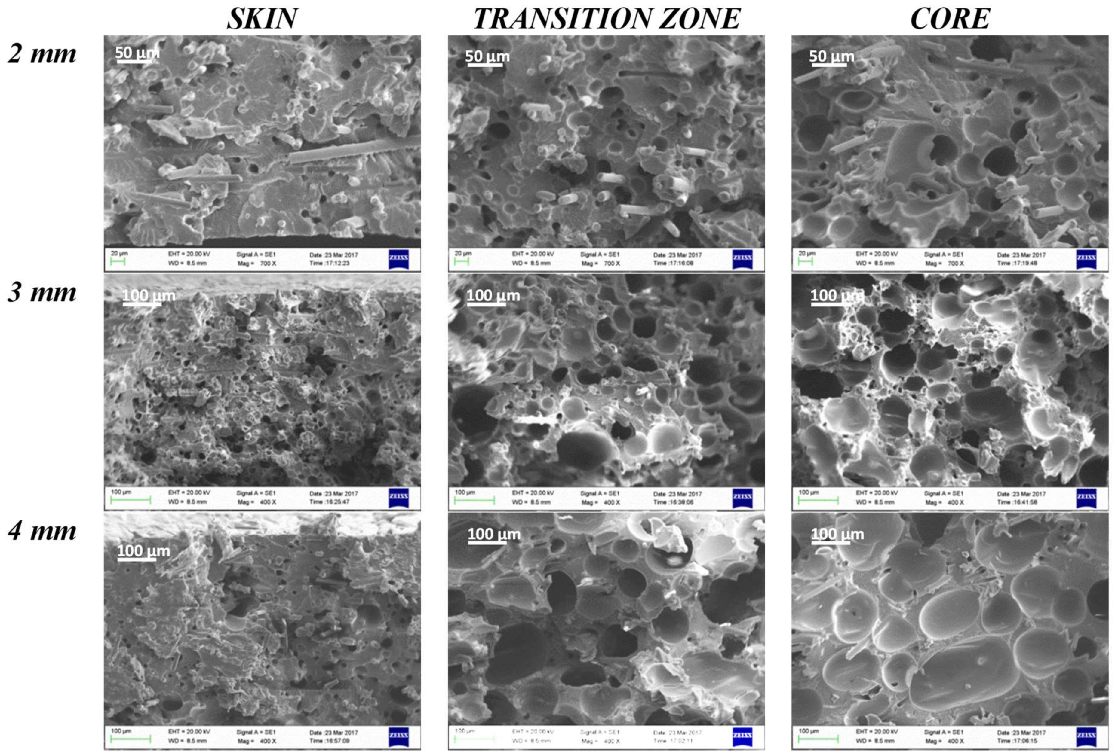 Polymers 11 00326 g008