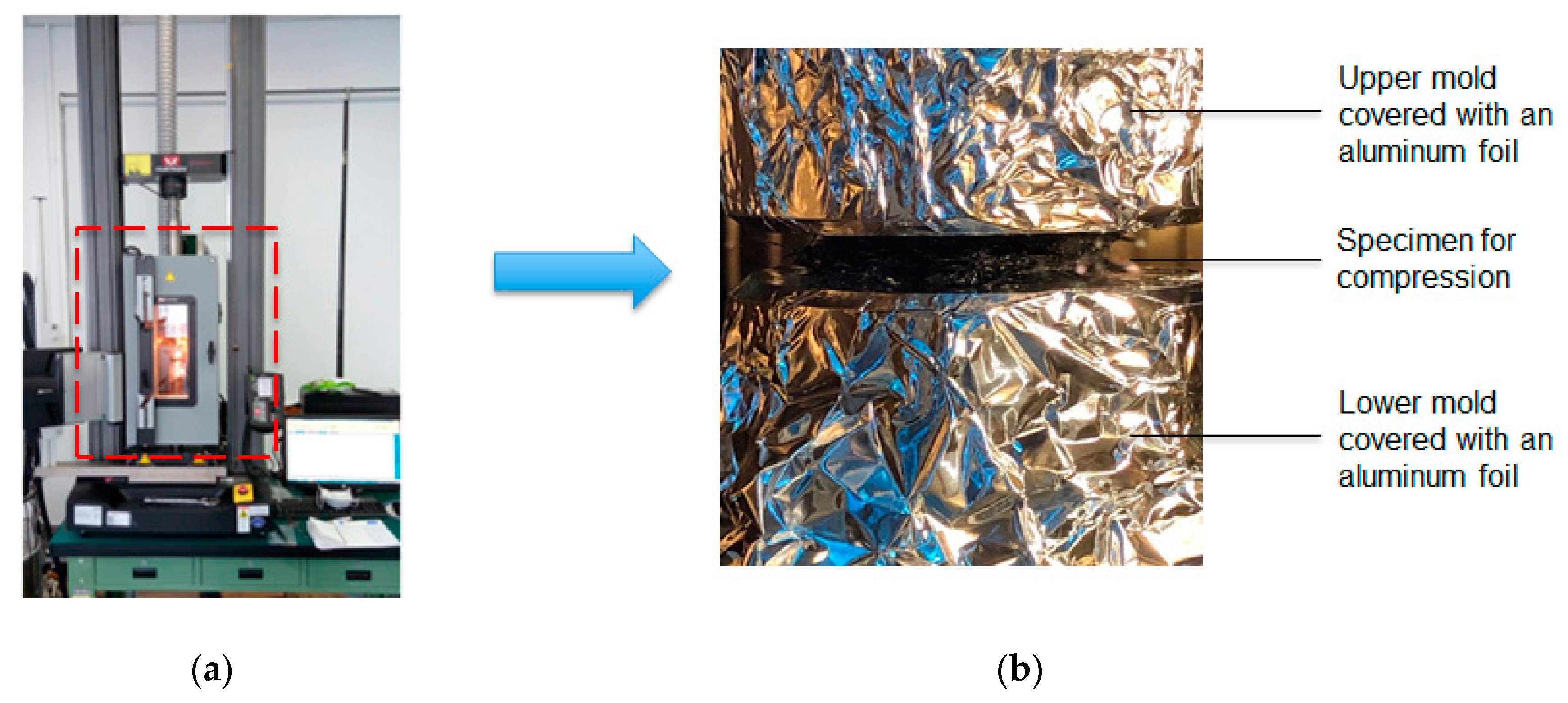 Polymers 11 00335 g004