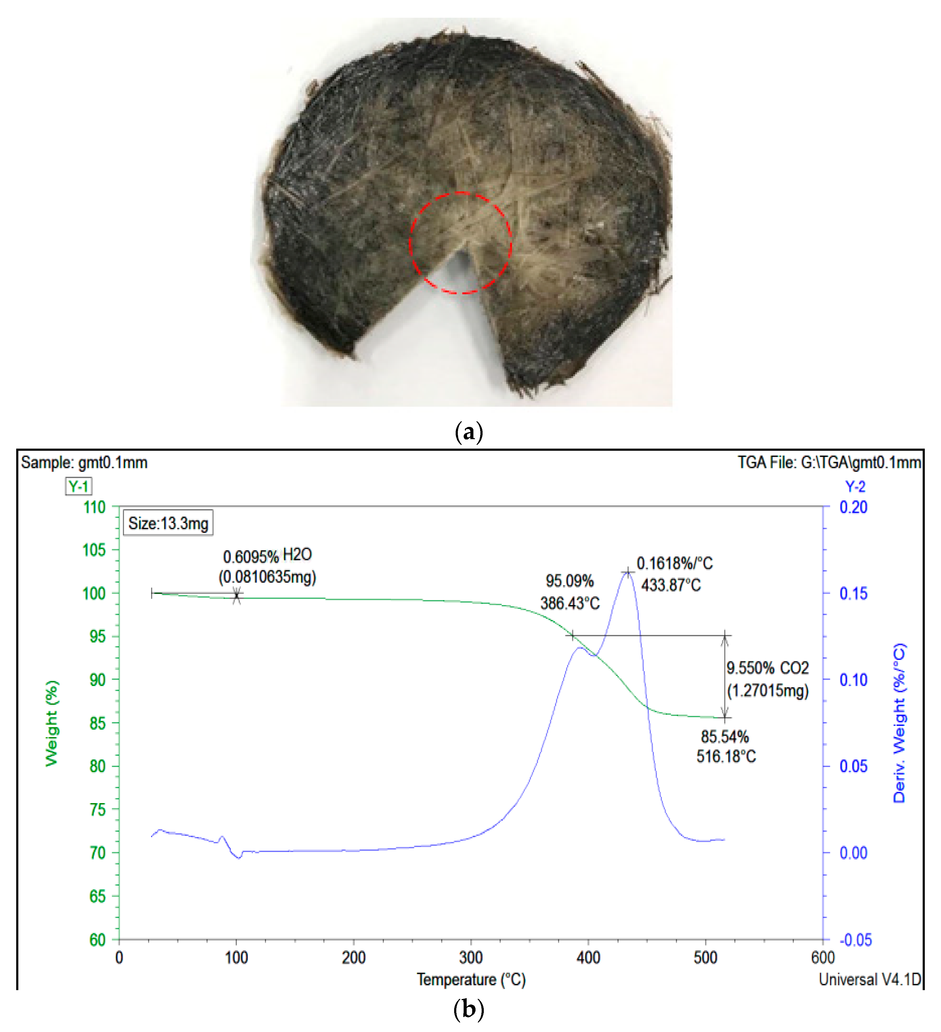 Polymers 11 00335 g010