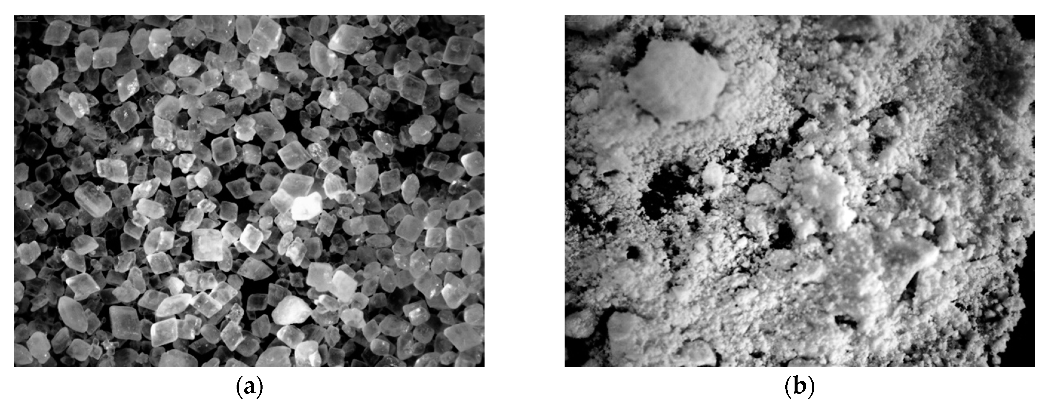 Polymers 11 00336 g002 550
