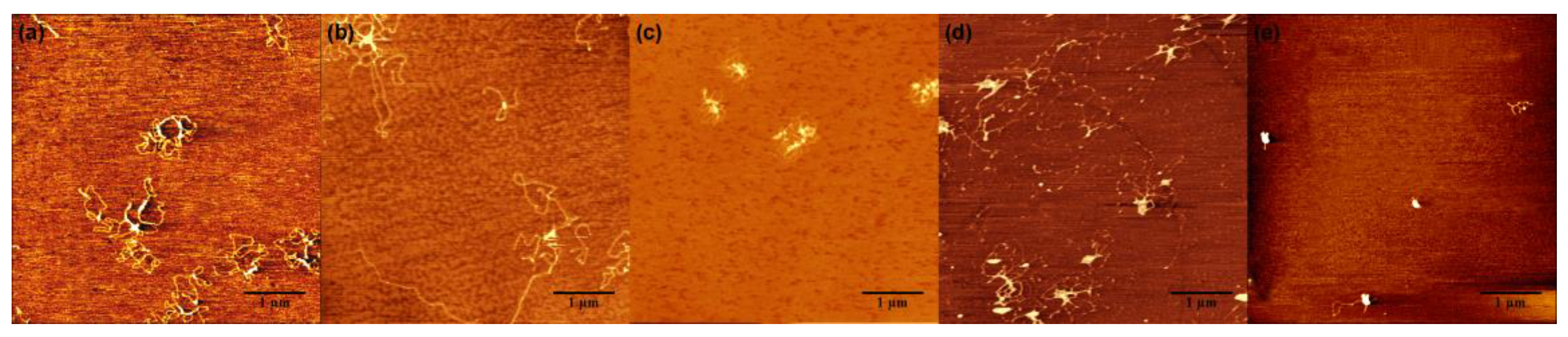 Polymers 11 00337 g003 Polymers 11 00337 g003