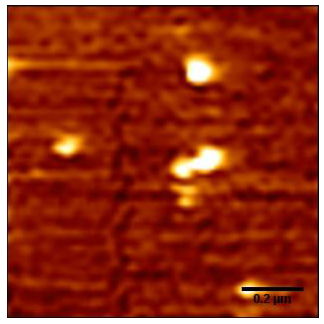 Polymers 11 00337 g005 Polymers 11 00337 g005
