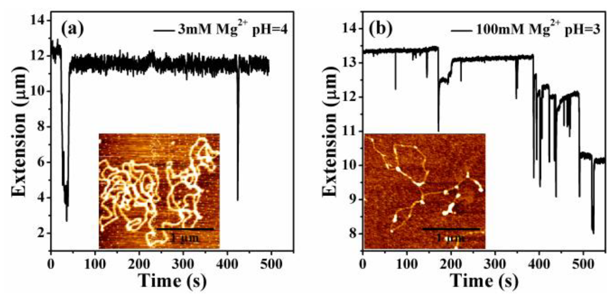 Polymers 11 00337 g007 Polymers 11 00337 g007