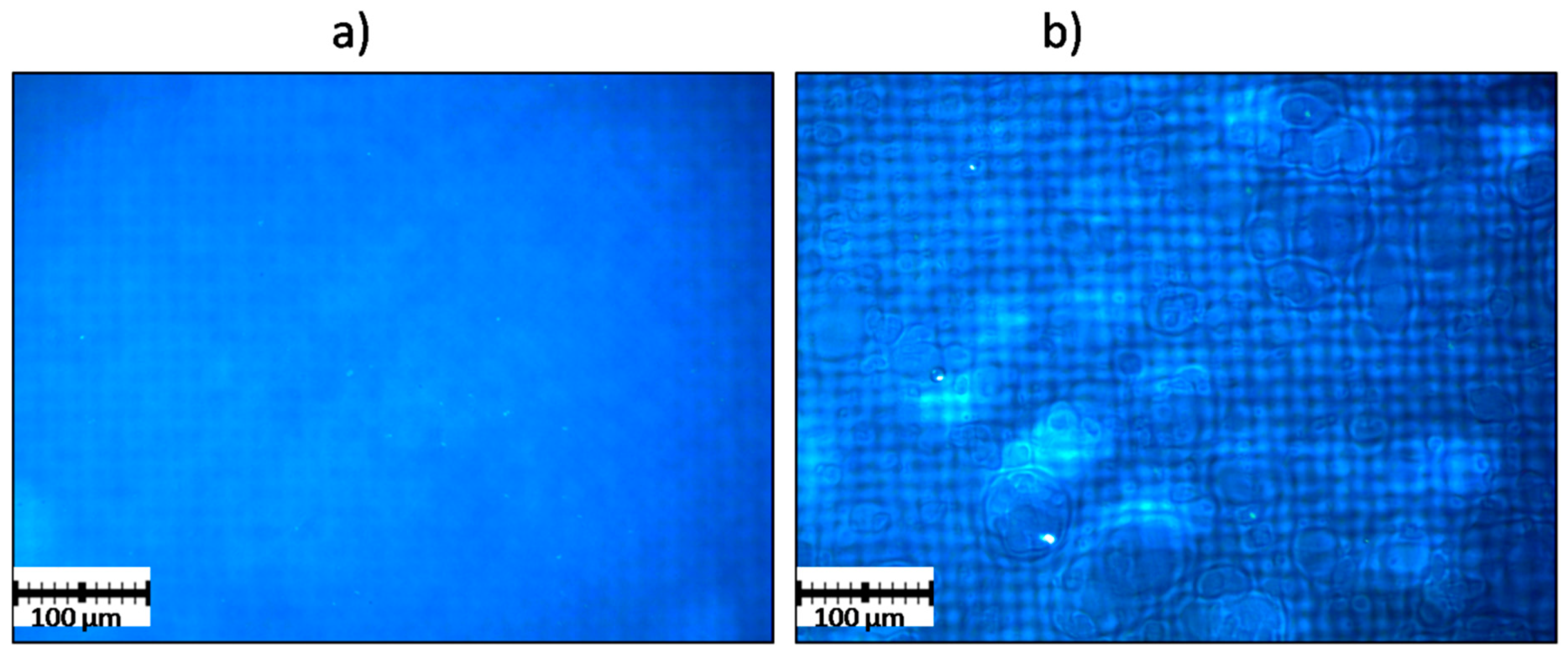 Polymers 11 00338 g006 Polymers 11 00338 g006
