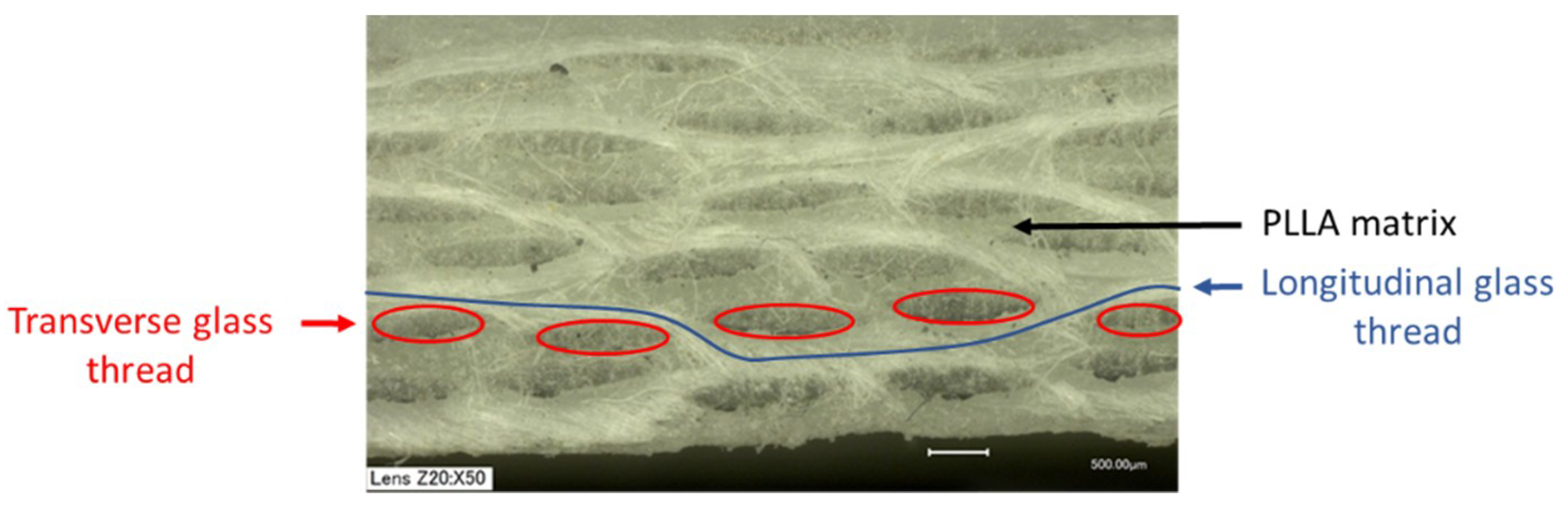 Polymers 11 00339 g003 Polymers 11 00339 g003
