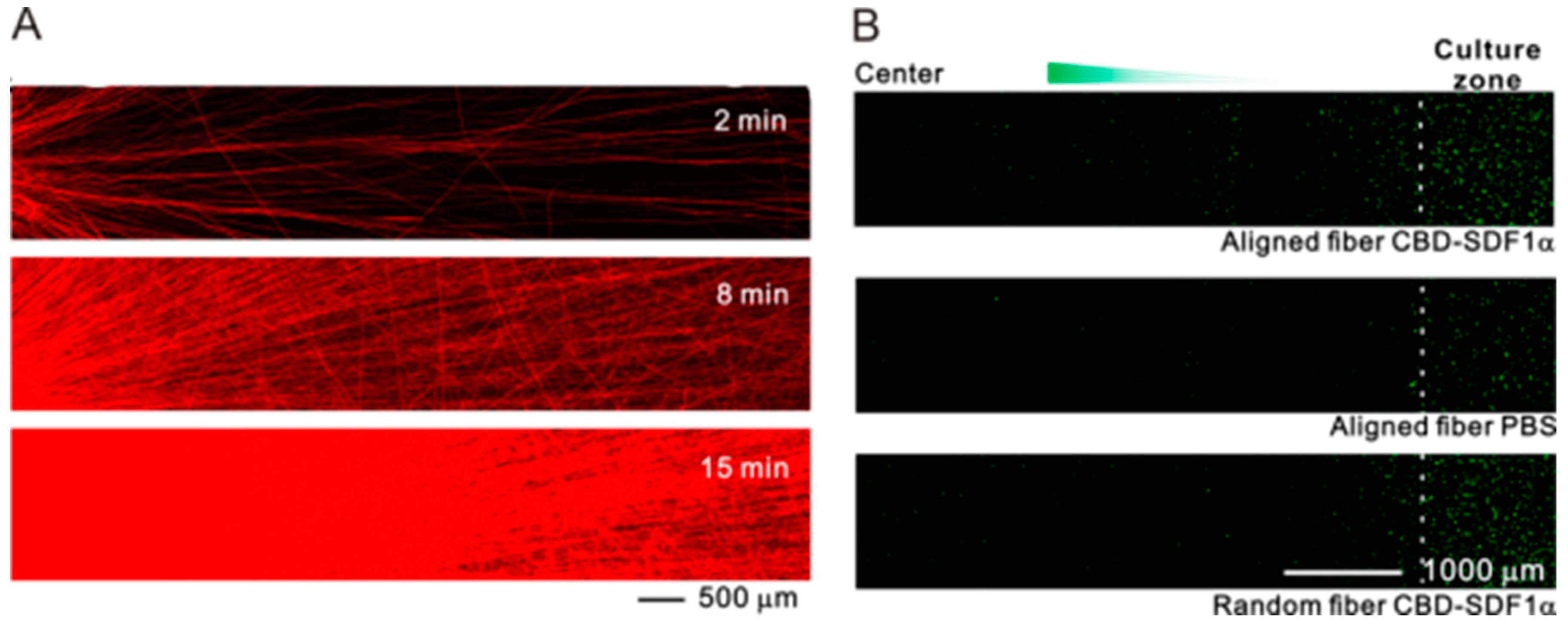 Polymers 11 00341 g004 Polymers 11 00341 g004
