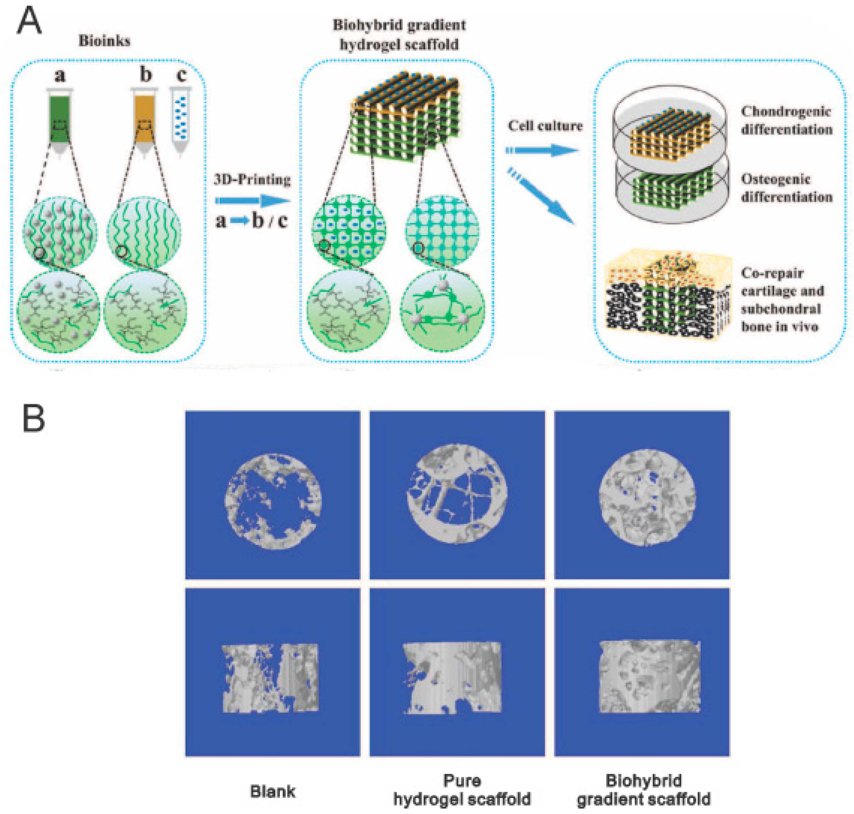 Polymers 11 00341 g005 Polymers 11 00341 g005