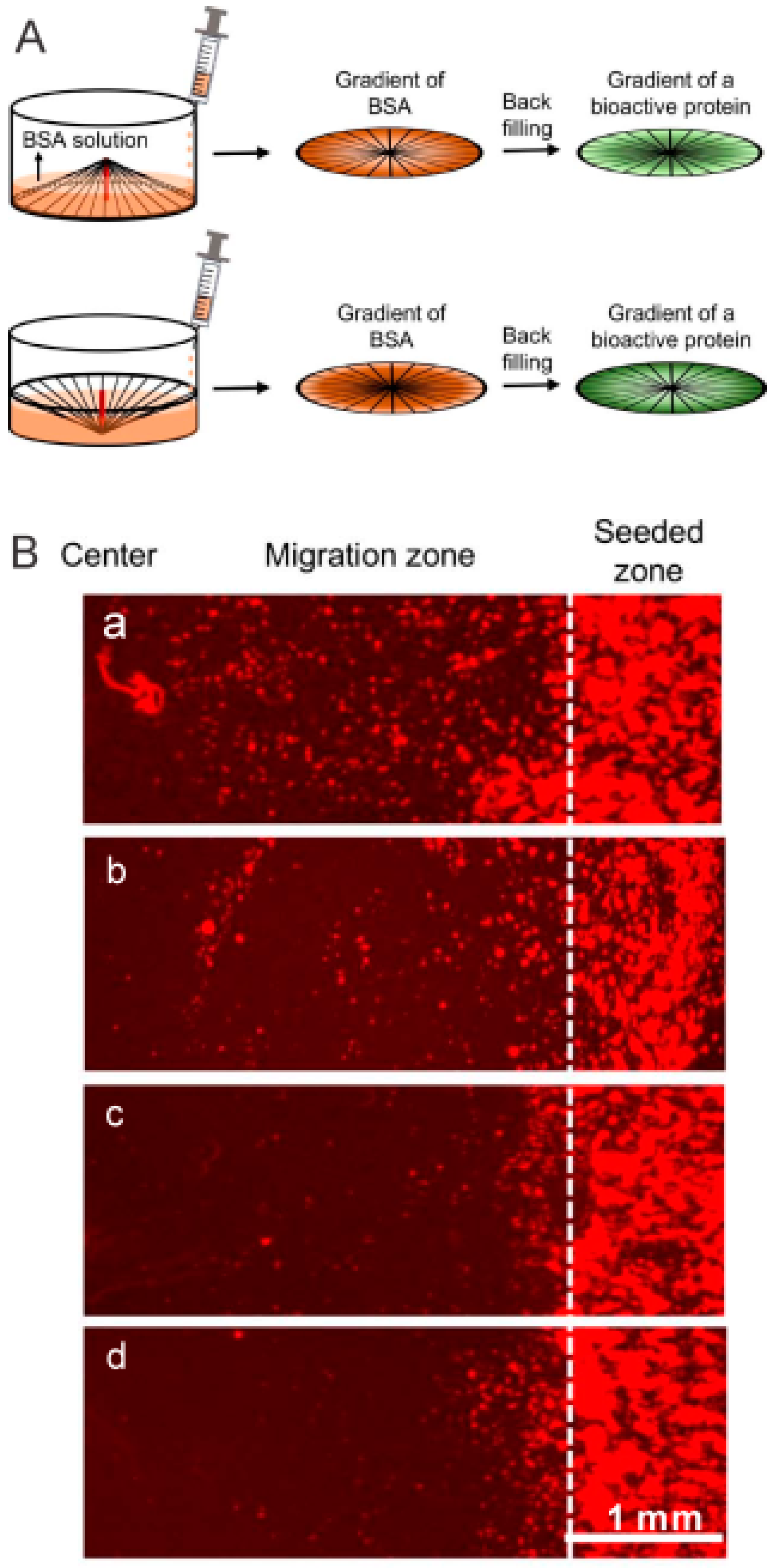 Polymers 11 00341 g007 Polymers 11 00341 g007