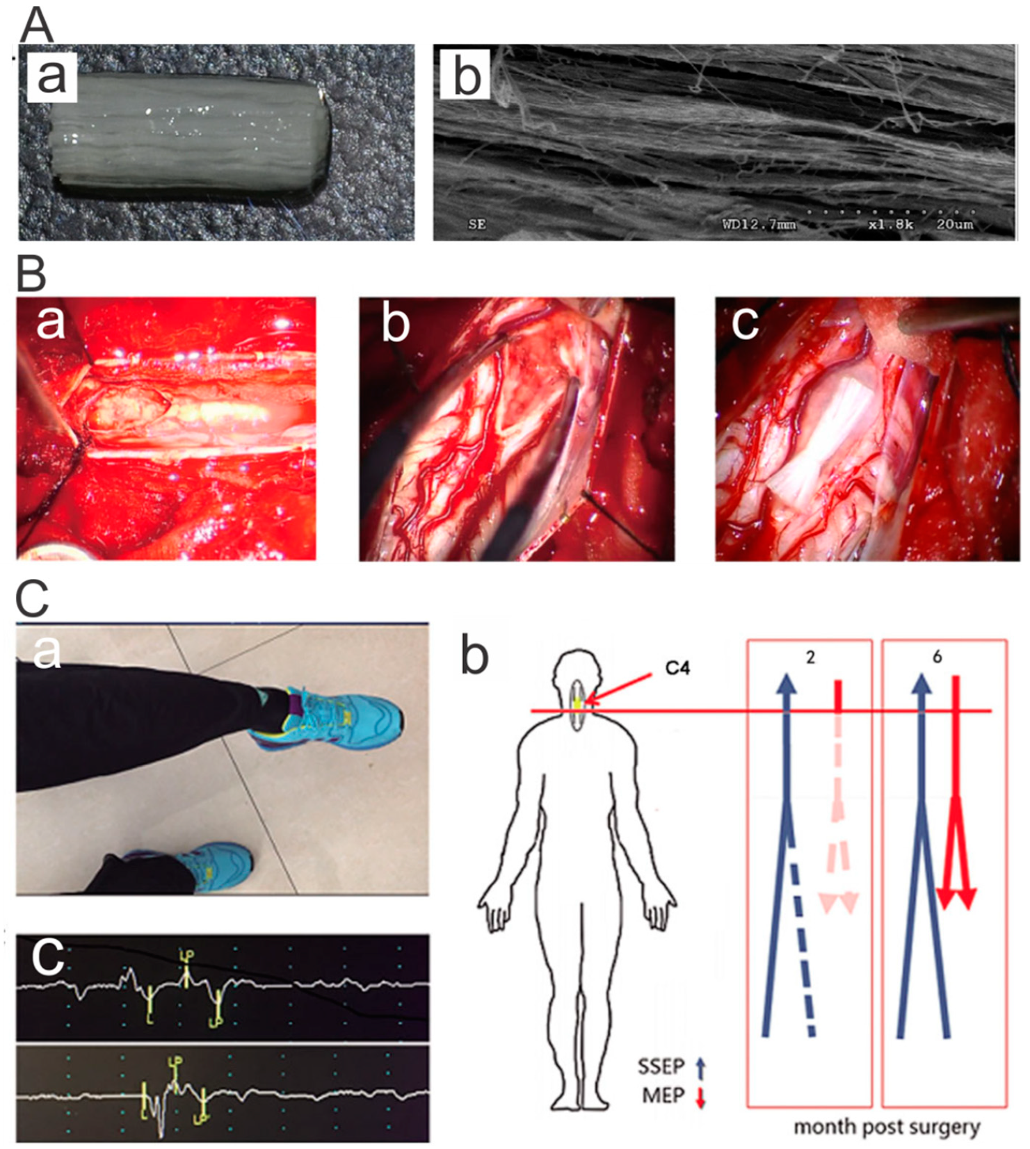 Polymers 11 00341 g008 Polymers 11 00341 g008