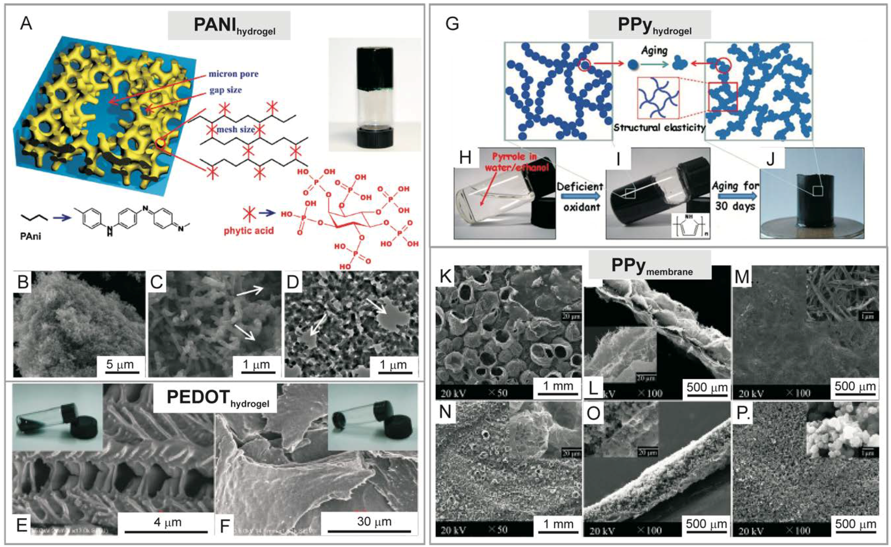 Polymers 11 00350 g001