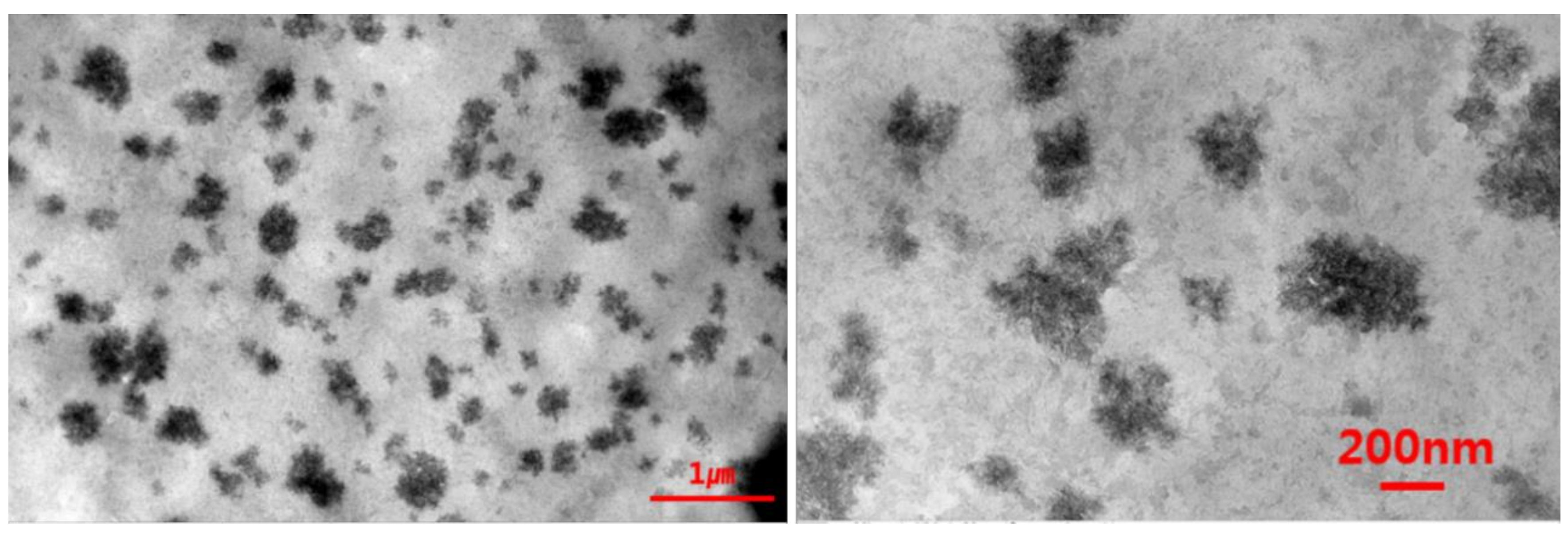 Polymers 11 00356 g001 550