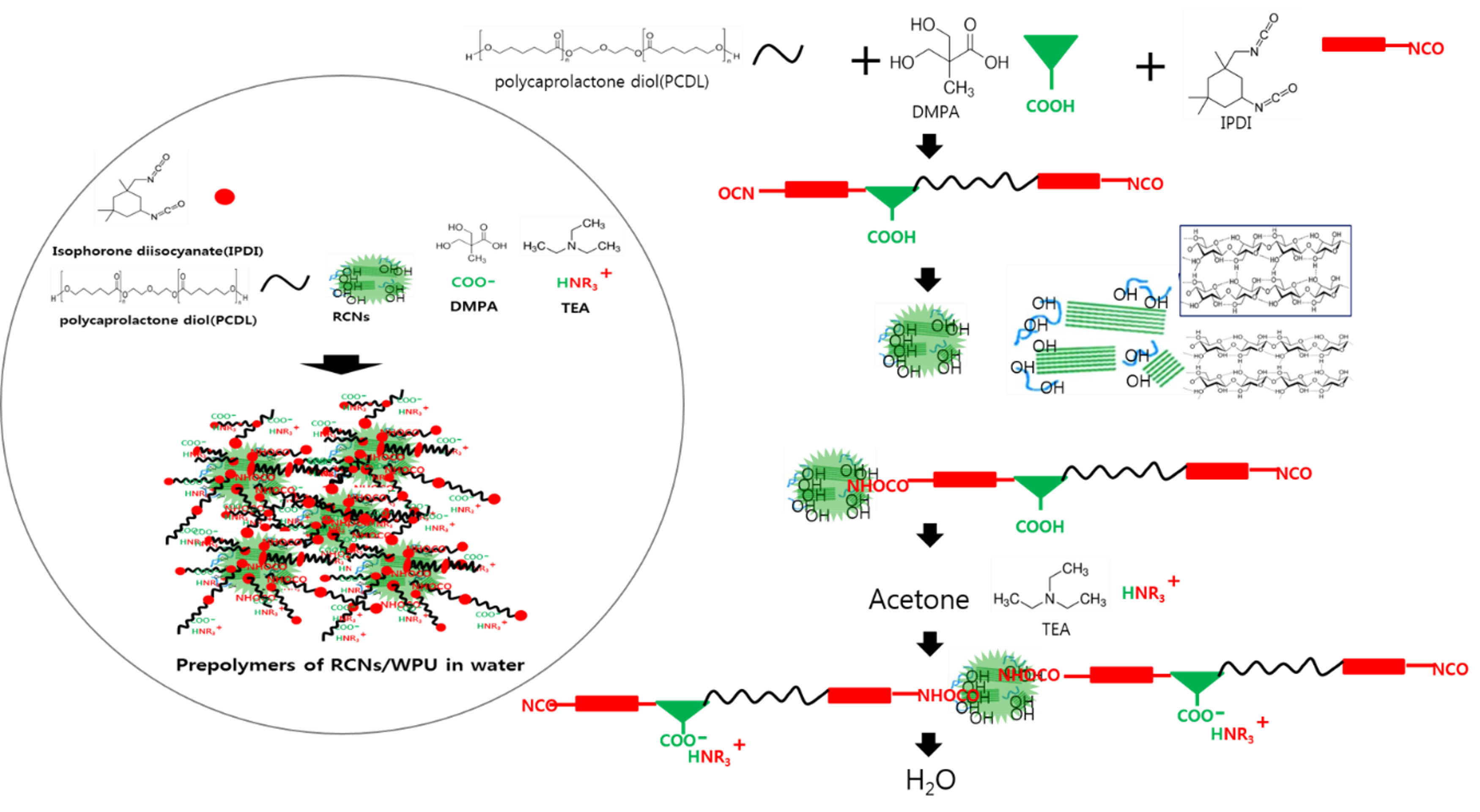 Polymers 11 00356 sch002 550