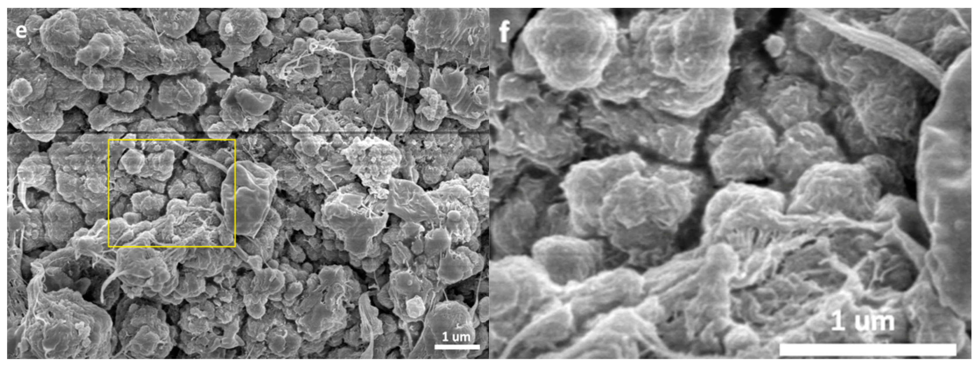 Polymers 11 00358 g003b Polymers 11 00358 g003b