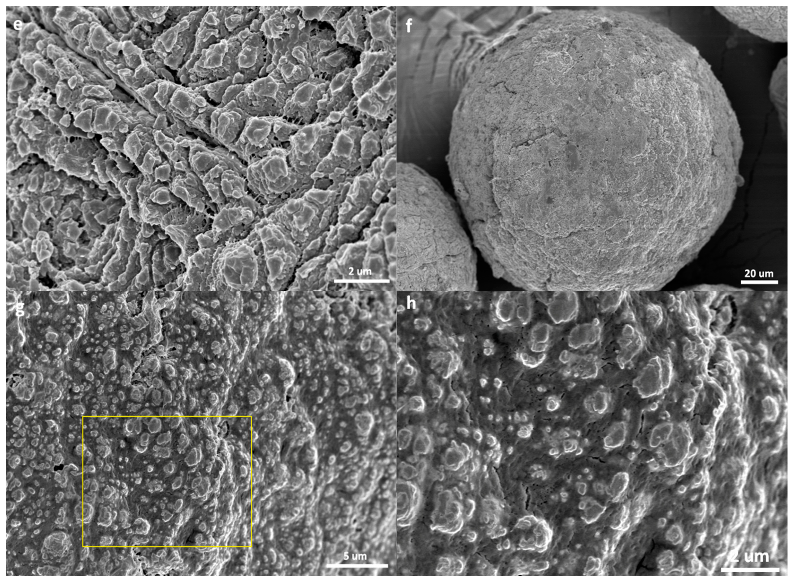 Polymers 11 00358 g004b Polymers 11 00358 g004b