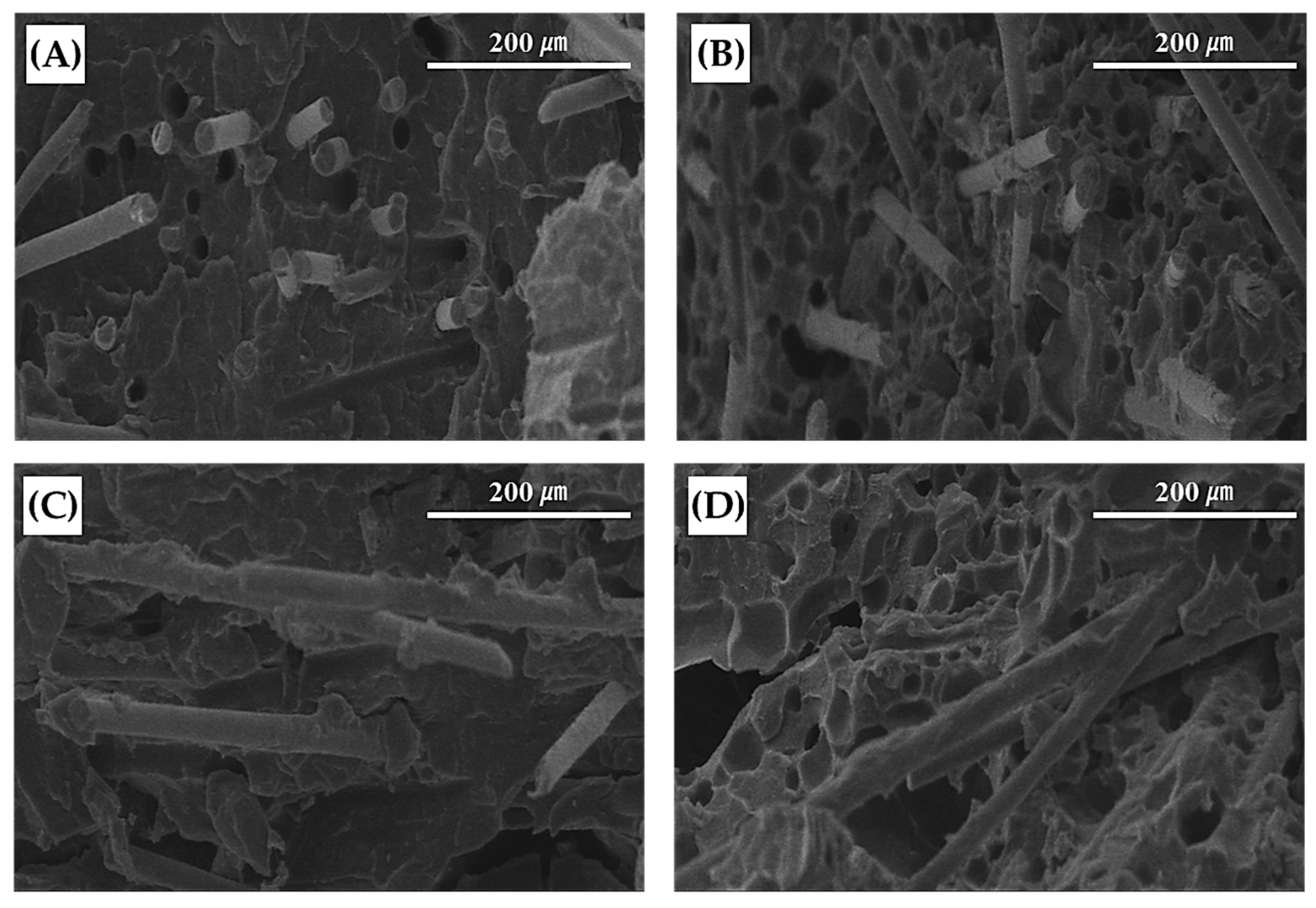 Polymers 11 00360 g005 550