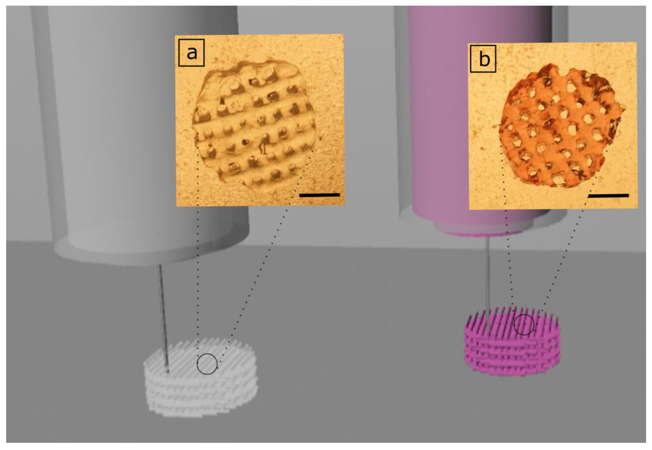 Polymers 11 00367 g003 Polymers 11 00367 g003