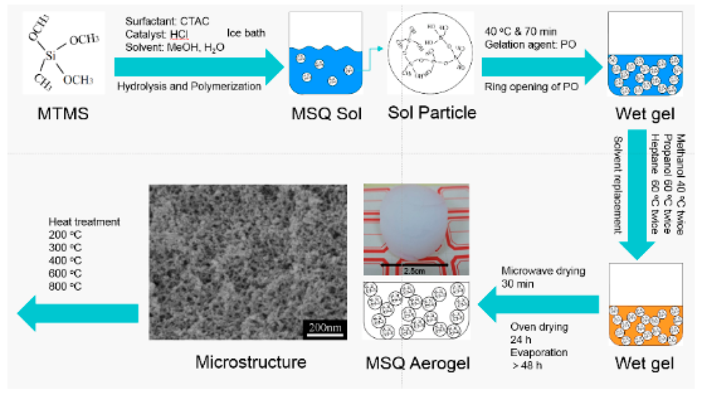 Polymers 11 00375 g001